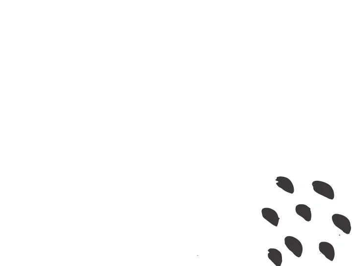 Services-Right-Banner-white.jpg