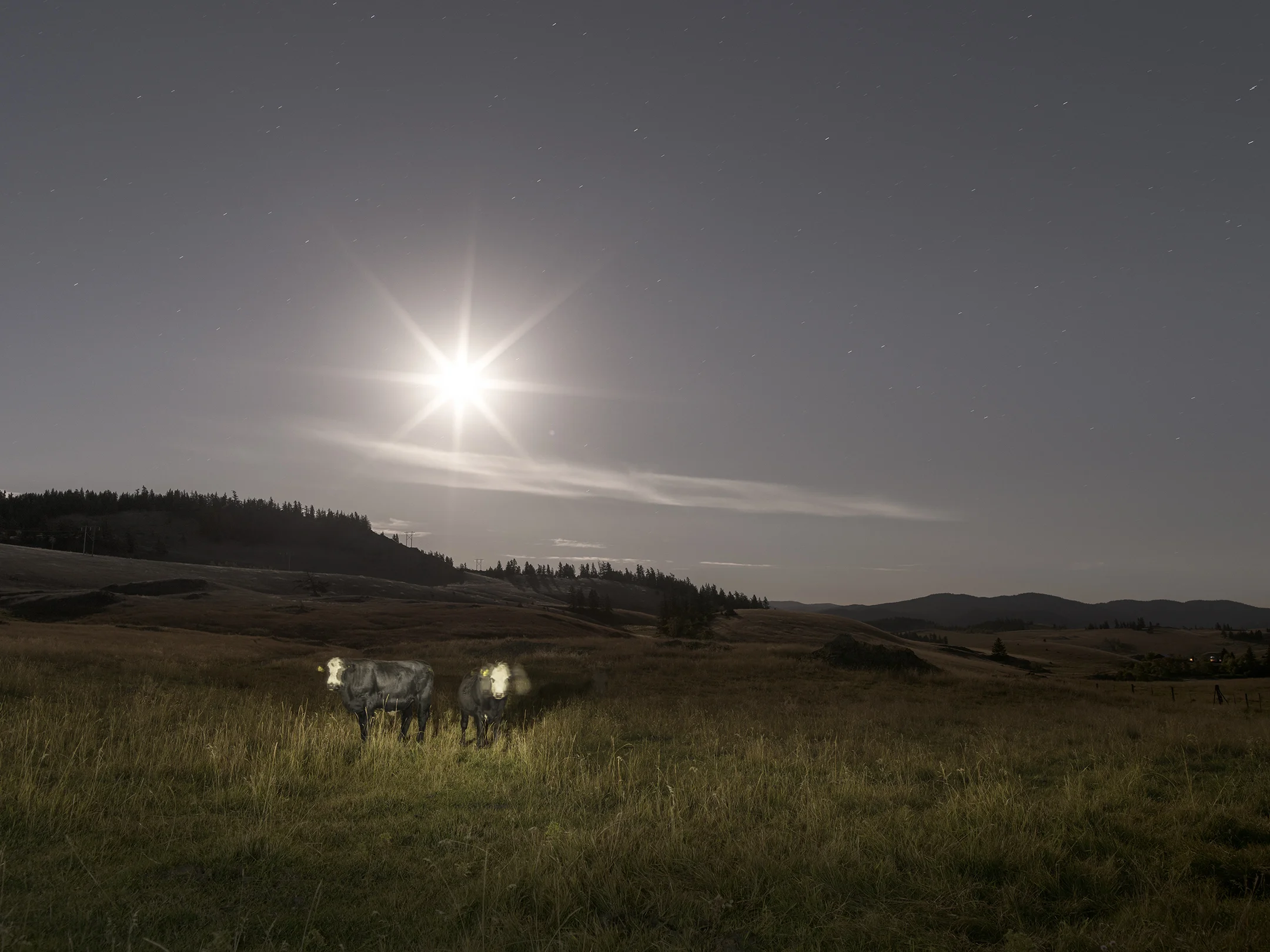 Twins Under Moonlight (2016)