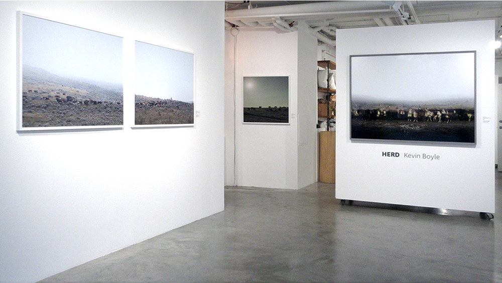 HERD (2017), Kimoto Gallery, Vancouver (photo credit Chris Fadden)