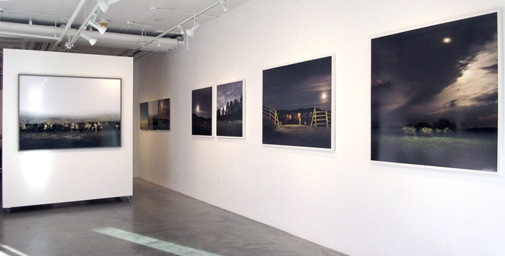 HERD (2017), Kimoto Gallery, Vancouver (photo credit Chris Fadden)