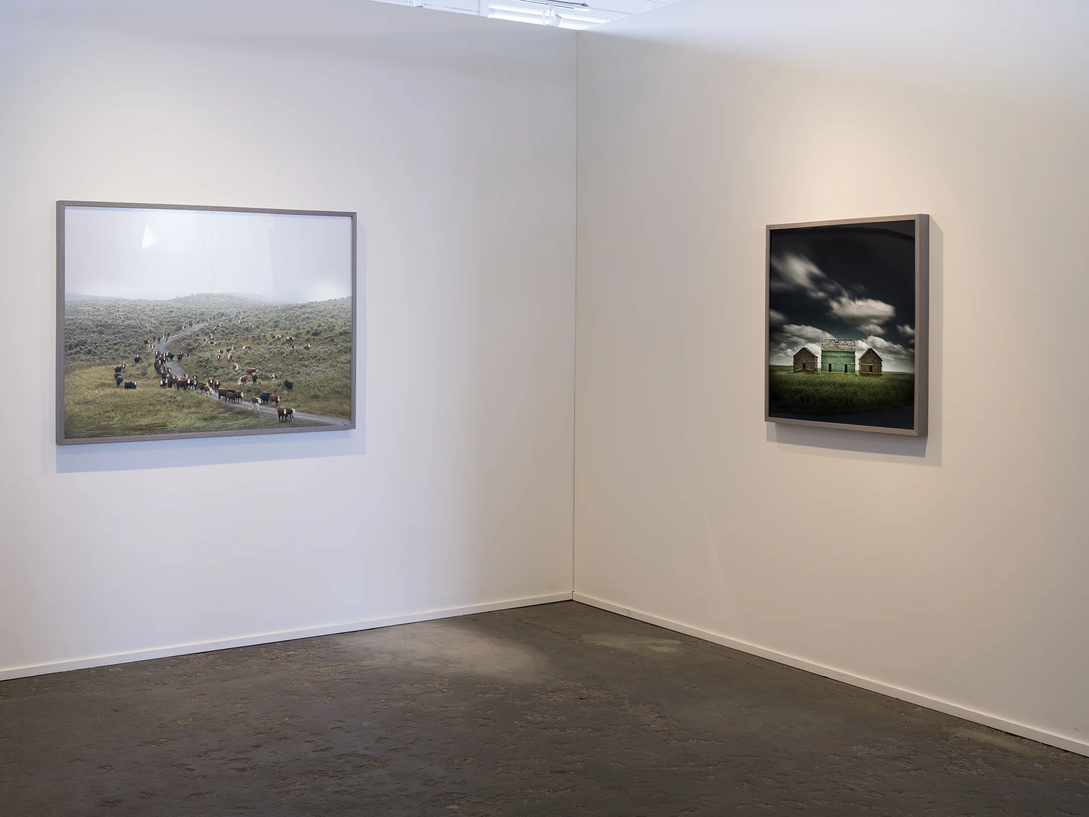 Lost Together (2018), Christine Klassen Gallery, Calgary