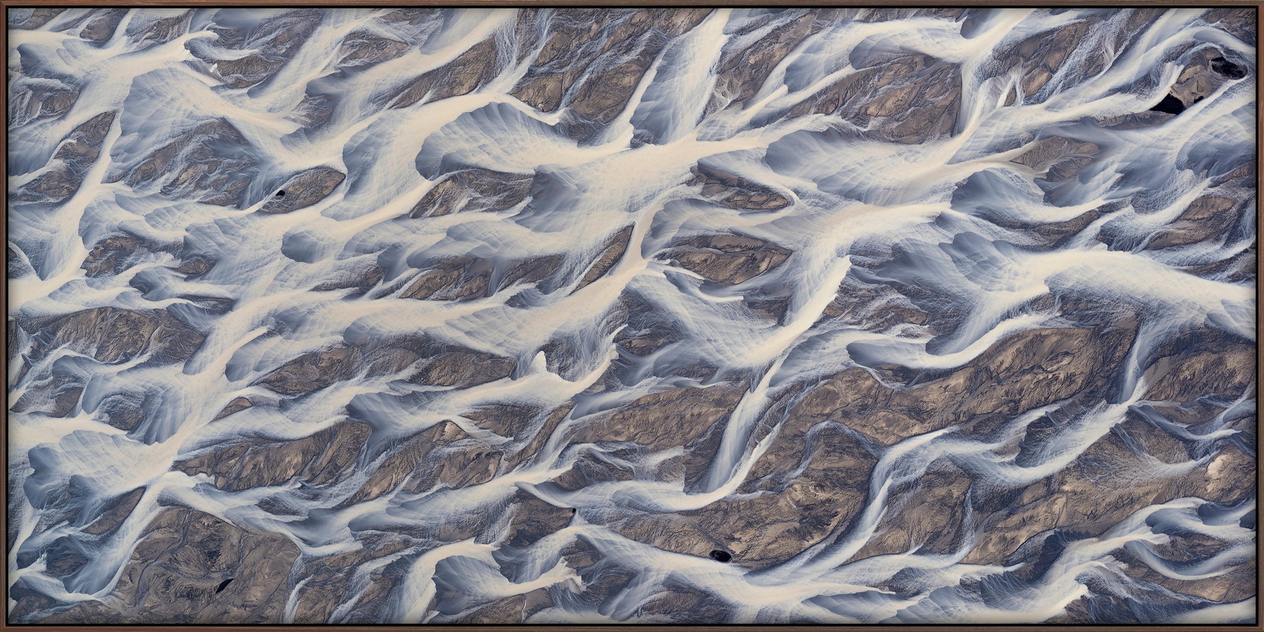 Braided River #11 | Arctic Terns (2022)
