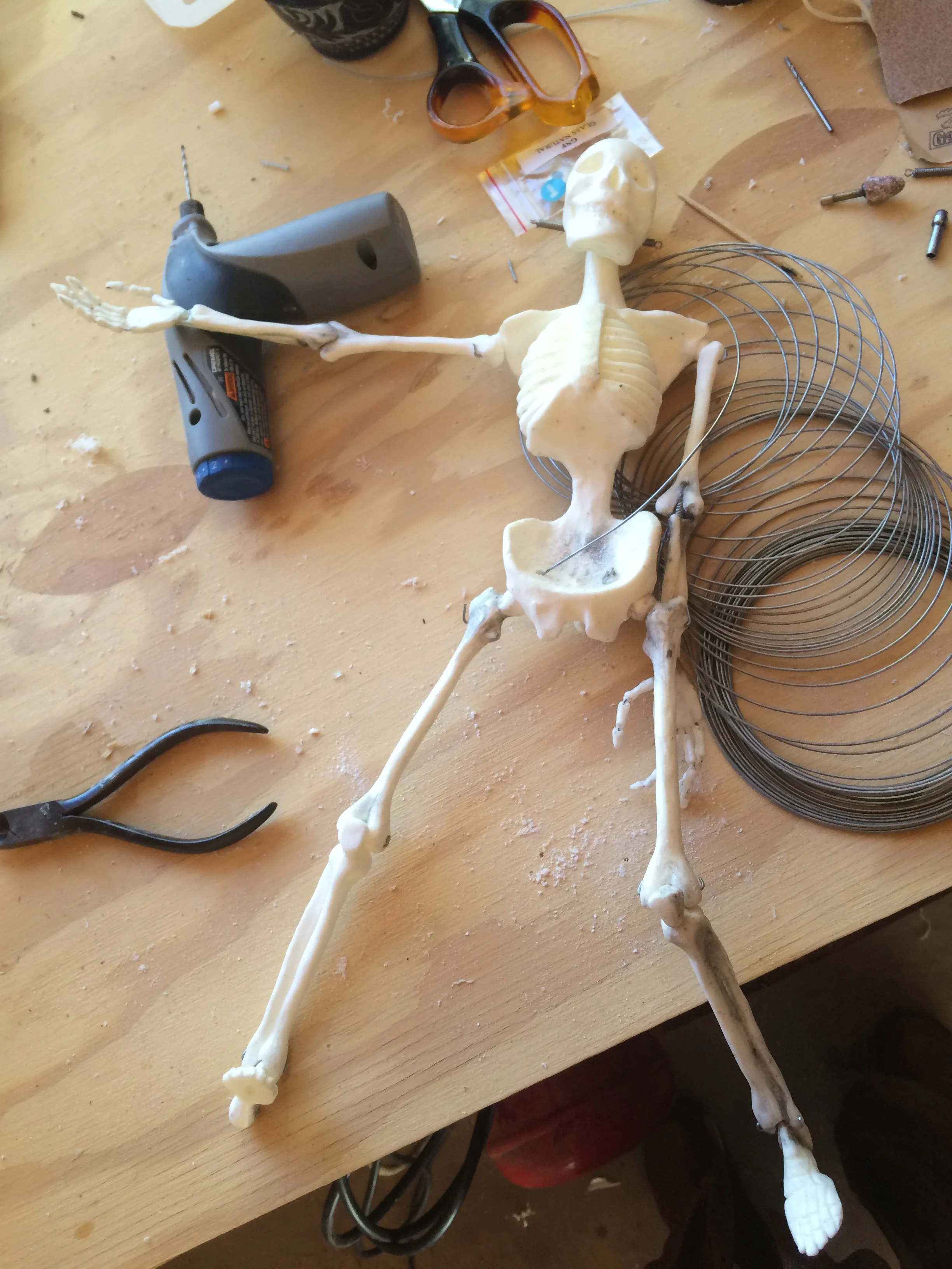 Skeleton assembled