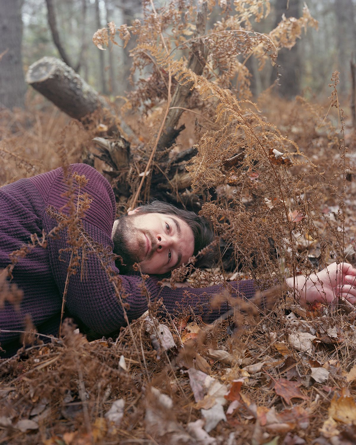 stephen-in-ferns.jpg