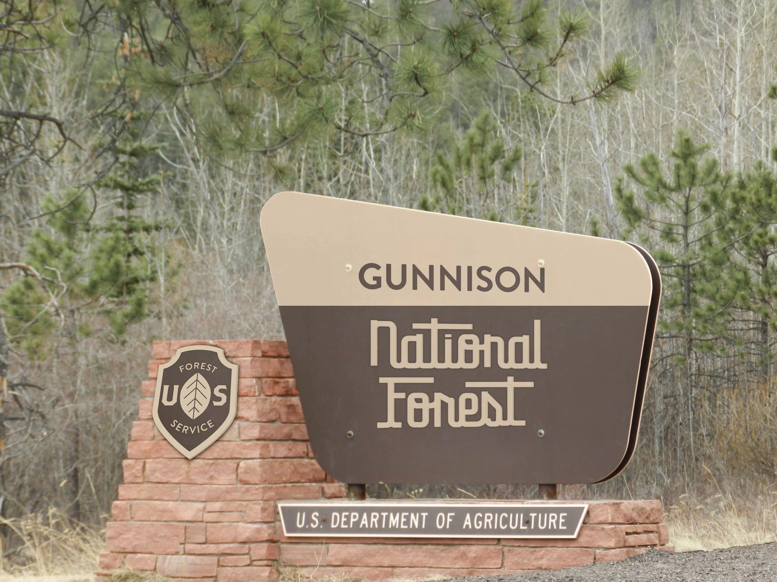 nationalforestsignsmall.jpg