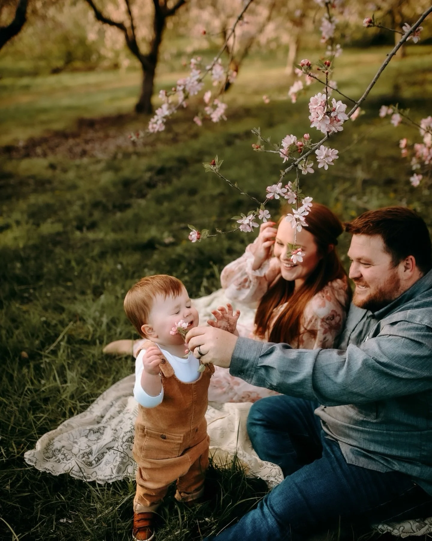 My favorite time of year. 🌸🪻🌷