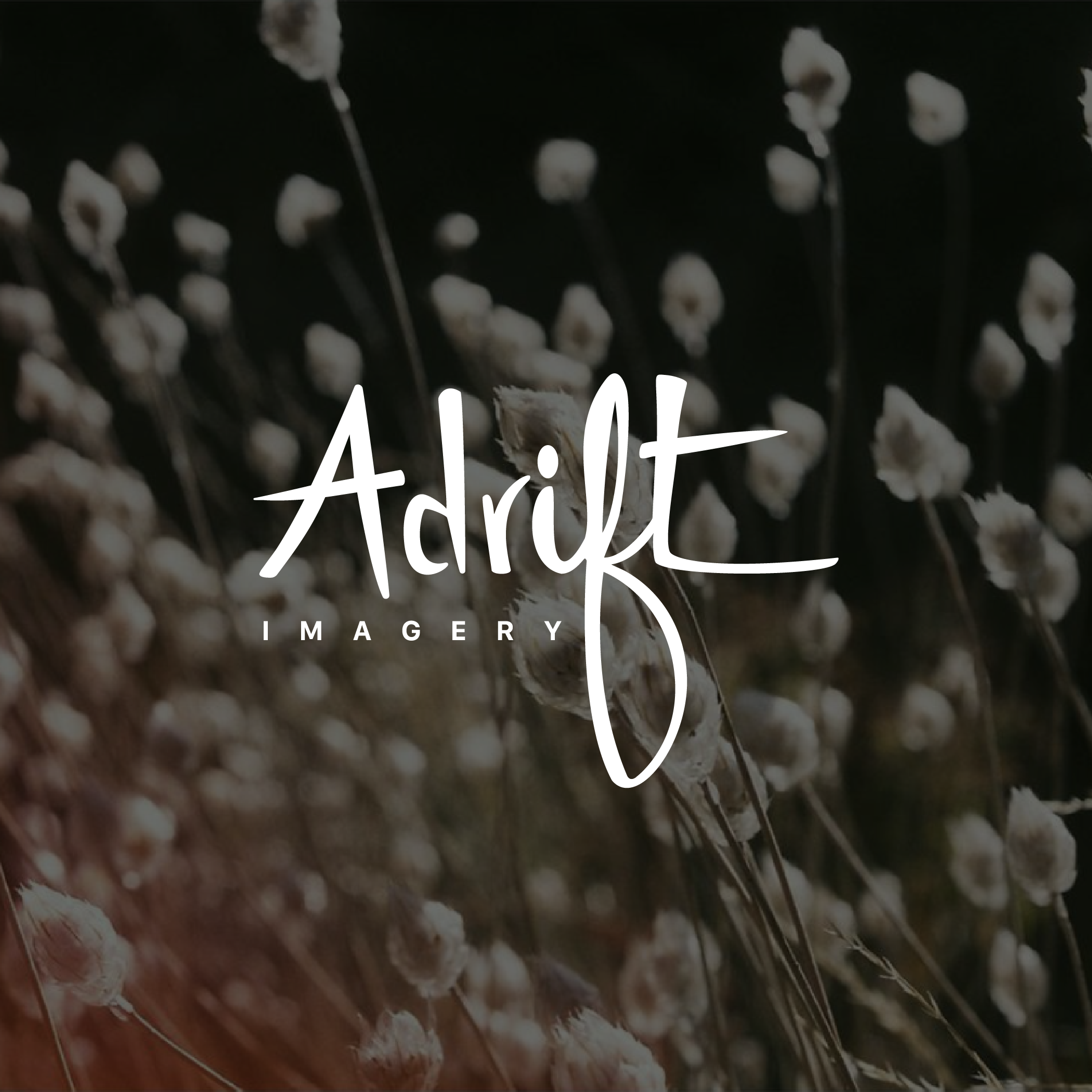 Adrift Imagery_Brand Elements_IG_2.png