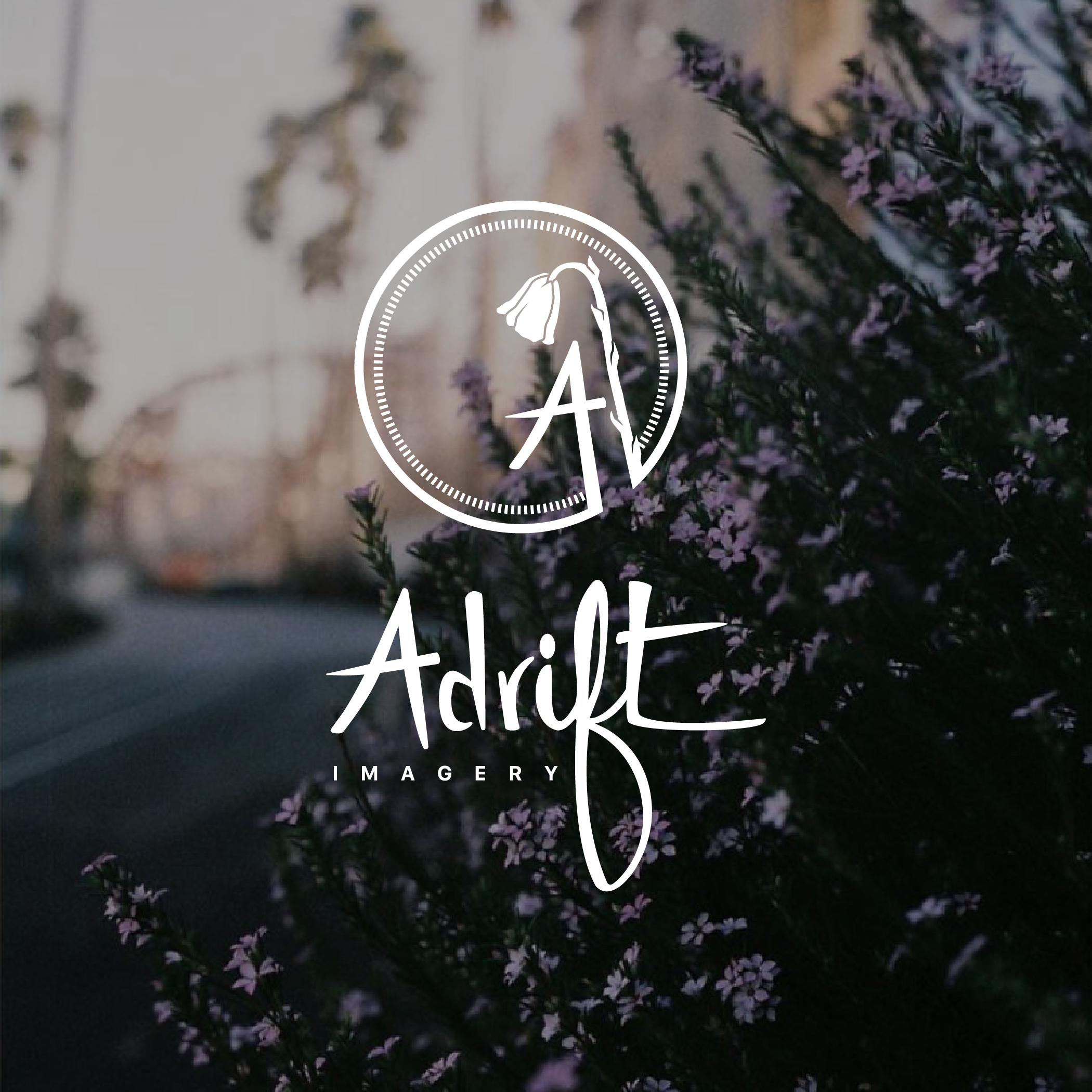 Adrift Imagery_Brand Elements_IG_1.png