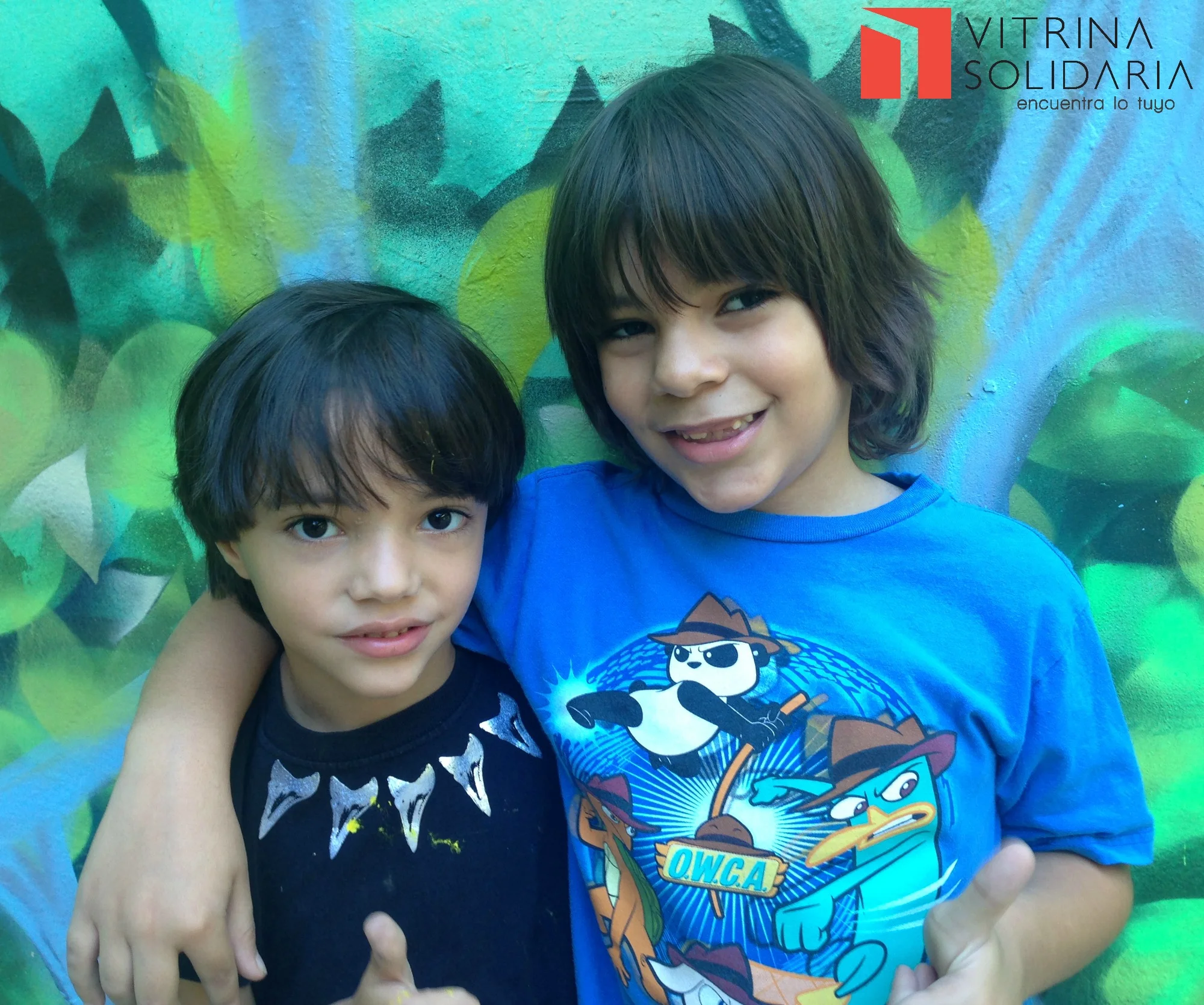 Orígenes de Vitrina Solidaria