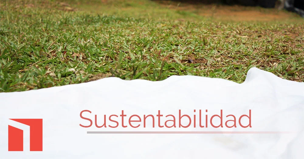 Lo que debes saber sobre sustentabilidad