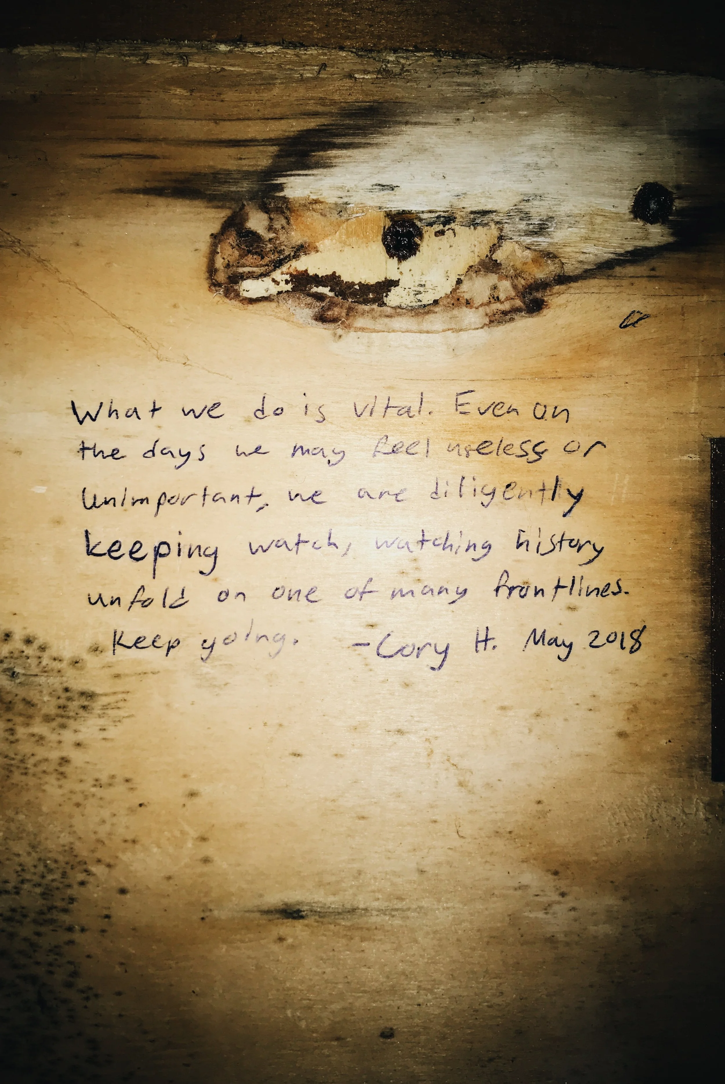 The quote I left on the wall of the Korakas spotting hut