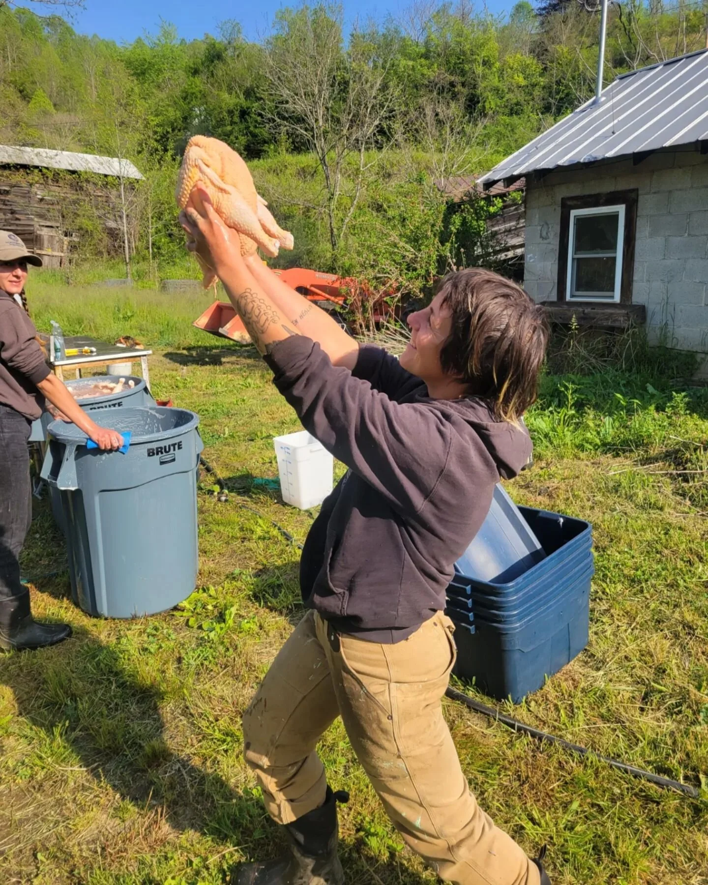 Roadside Stand is stocked full of AHHH veggies harvested today, so come on down and stuff your gob with...

BROCCOLI
KALE
LETTUCE
BOK CHOY
RADISHES
SPRING ONIONS
SWISS CHARD
STRAWBERRIES
FRESH CHICKEN (+frozen)
EGGS

We still have cases of strawberri