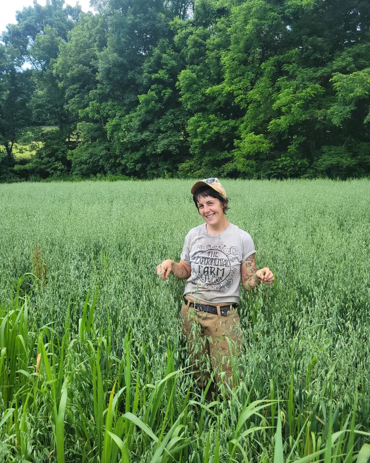 THE OATS ARE MILKING💦
Juicy mother oat provideth the nourishing mylk from the tiniest of teets.

We are taking pre orders for fresh milky oat, $12 per pound fresh! Pick up at the farm stand or Wednesdays in Asheville. DM to order and get the deets. 