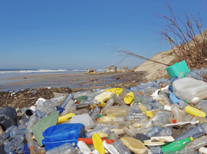 Plastikmüll in den Ozeanen