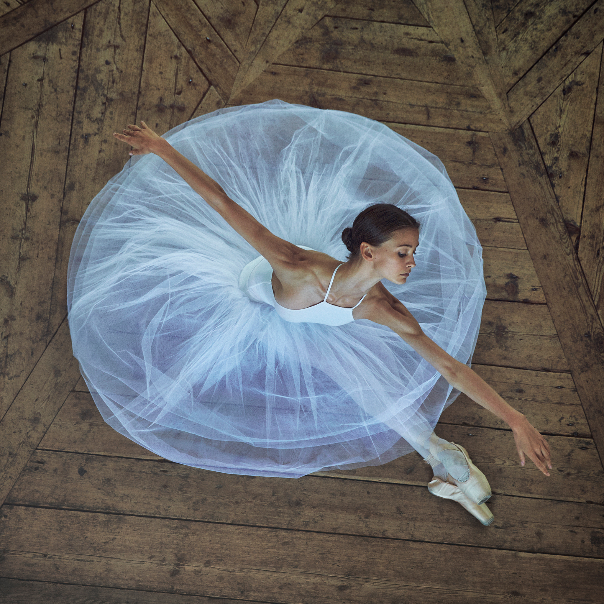 Print Gallery for ballerina at Svartsjö Slott Nr.1