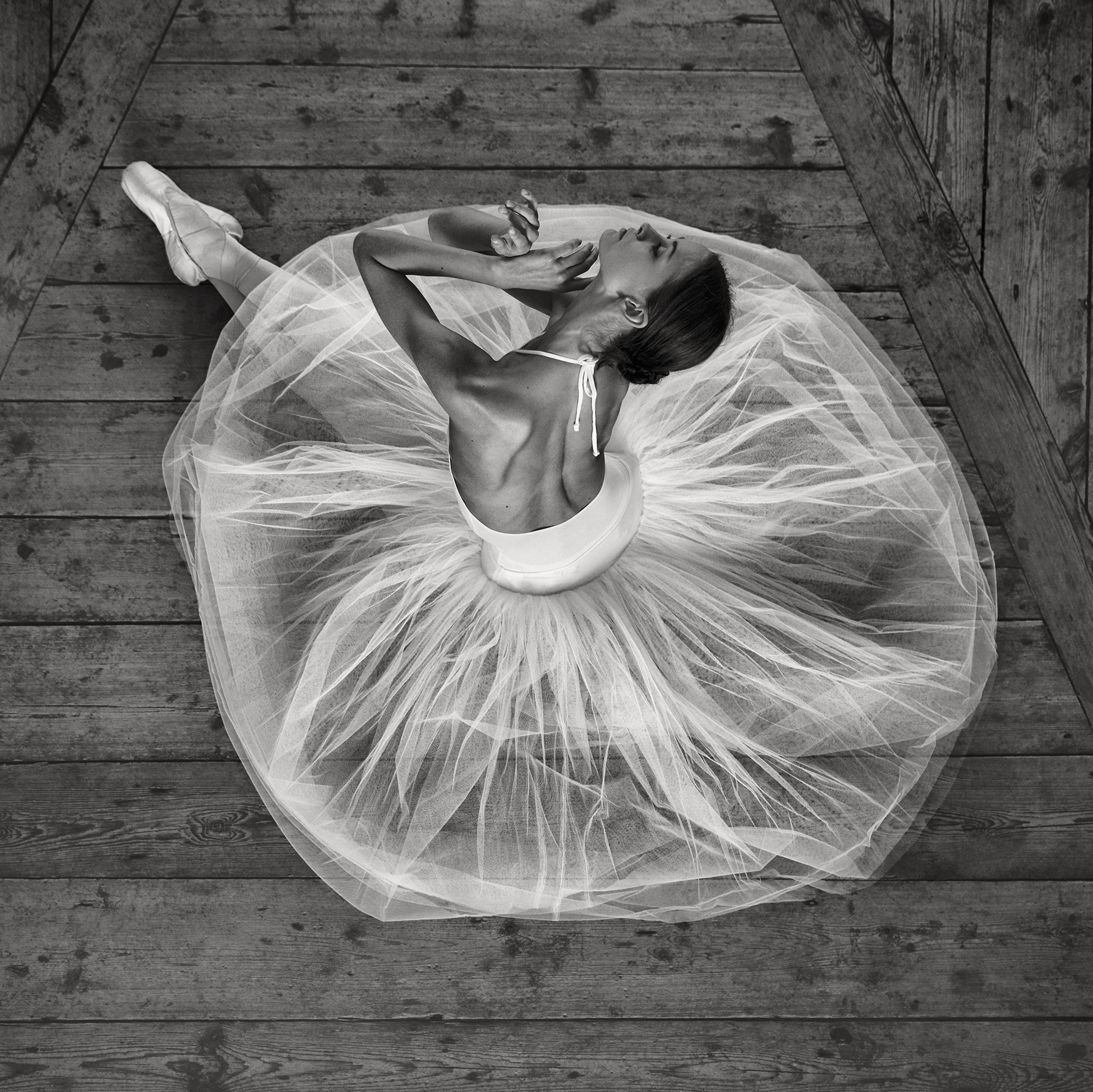 Print Gallery for ballerina at Svartsjö Slott Nr. 2