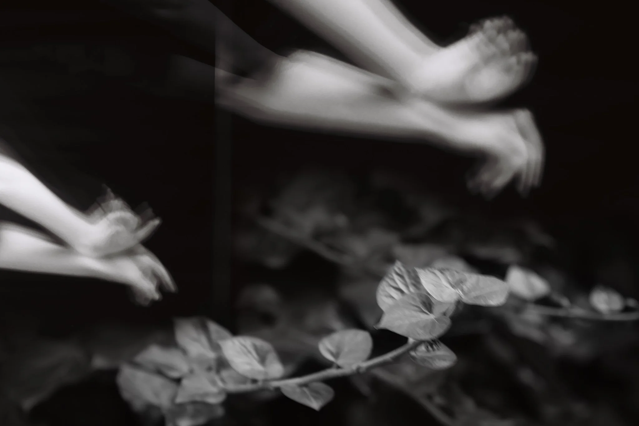 Christopher Dracke