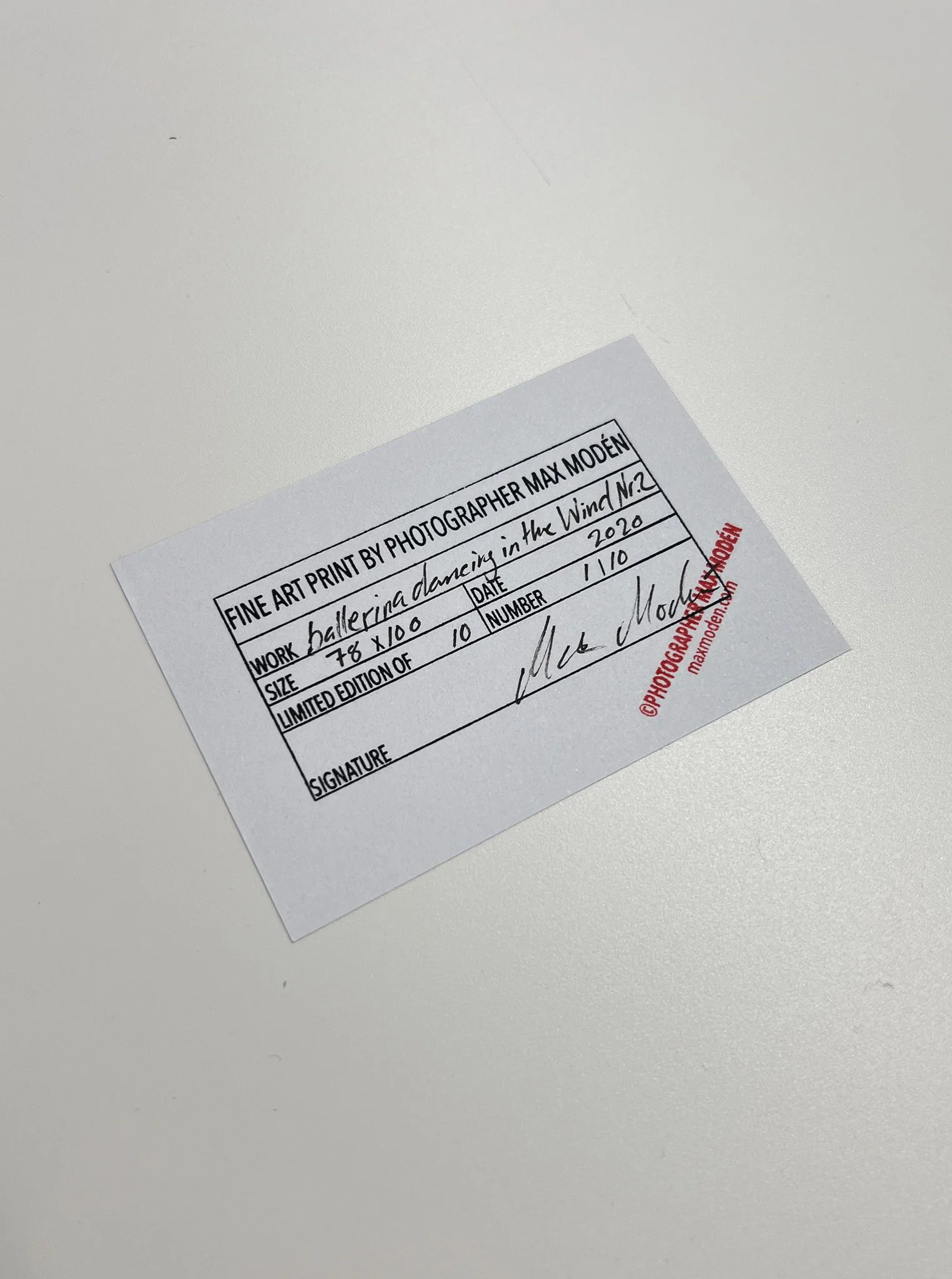 Certifikat_ballerina dancing in the wind nr2_1_10.jpeg