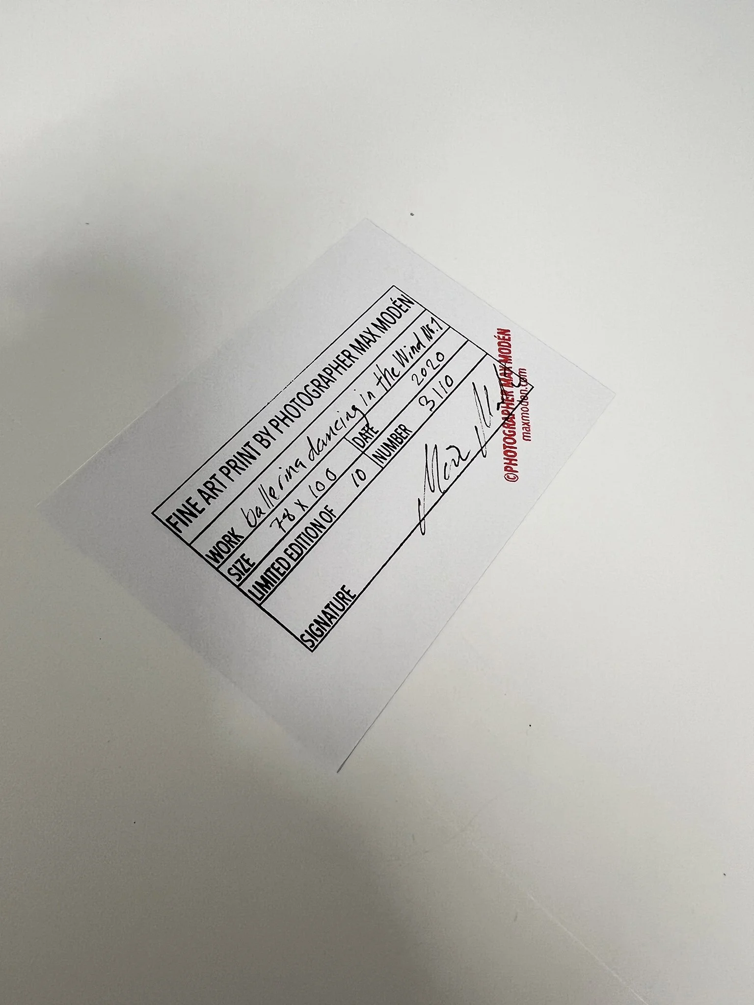 Certifikat_ballerina dancing in the wind nr1_3_10.jpeg