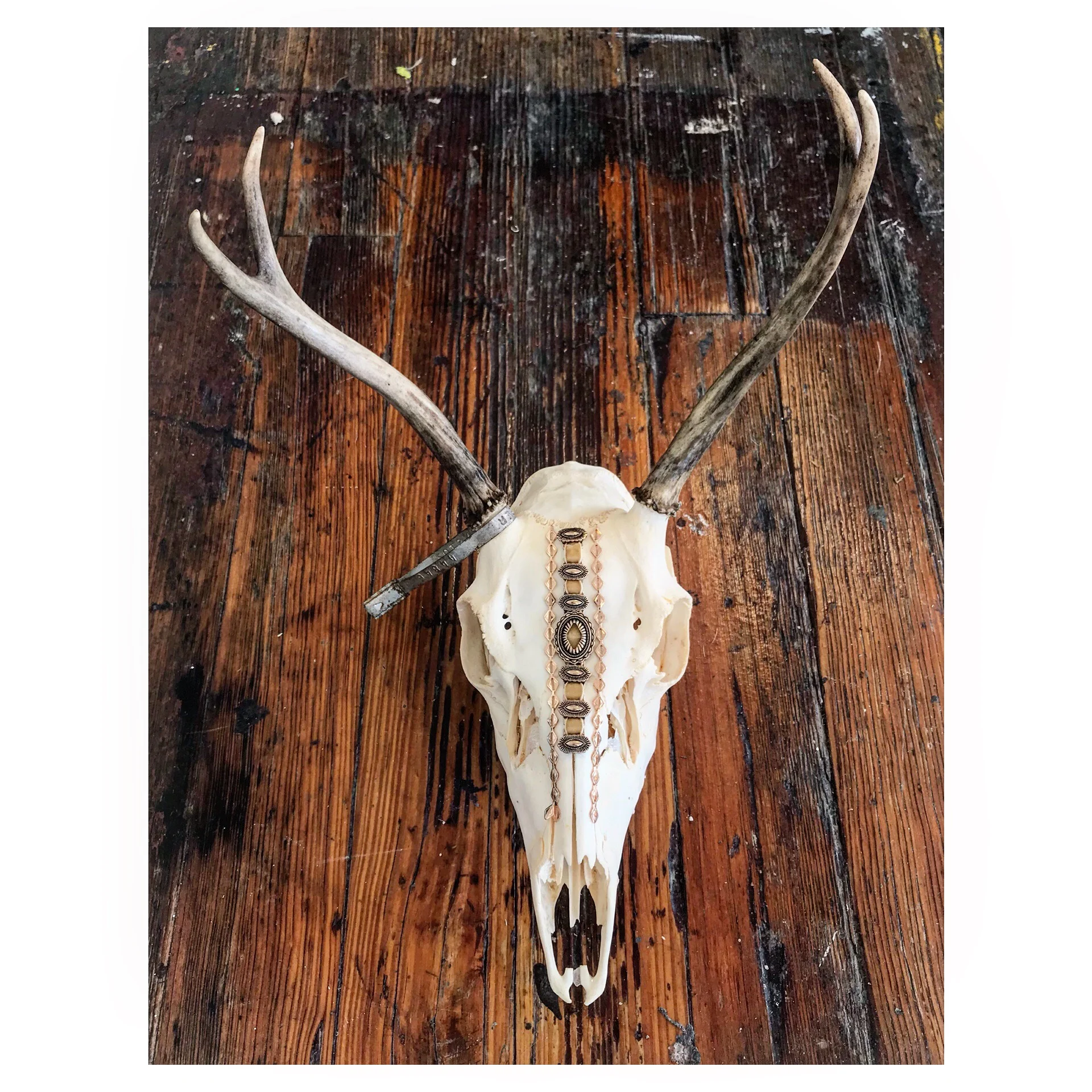 Deer Skull (with gold)