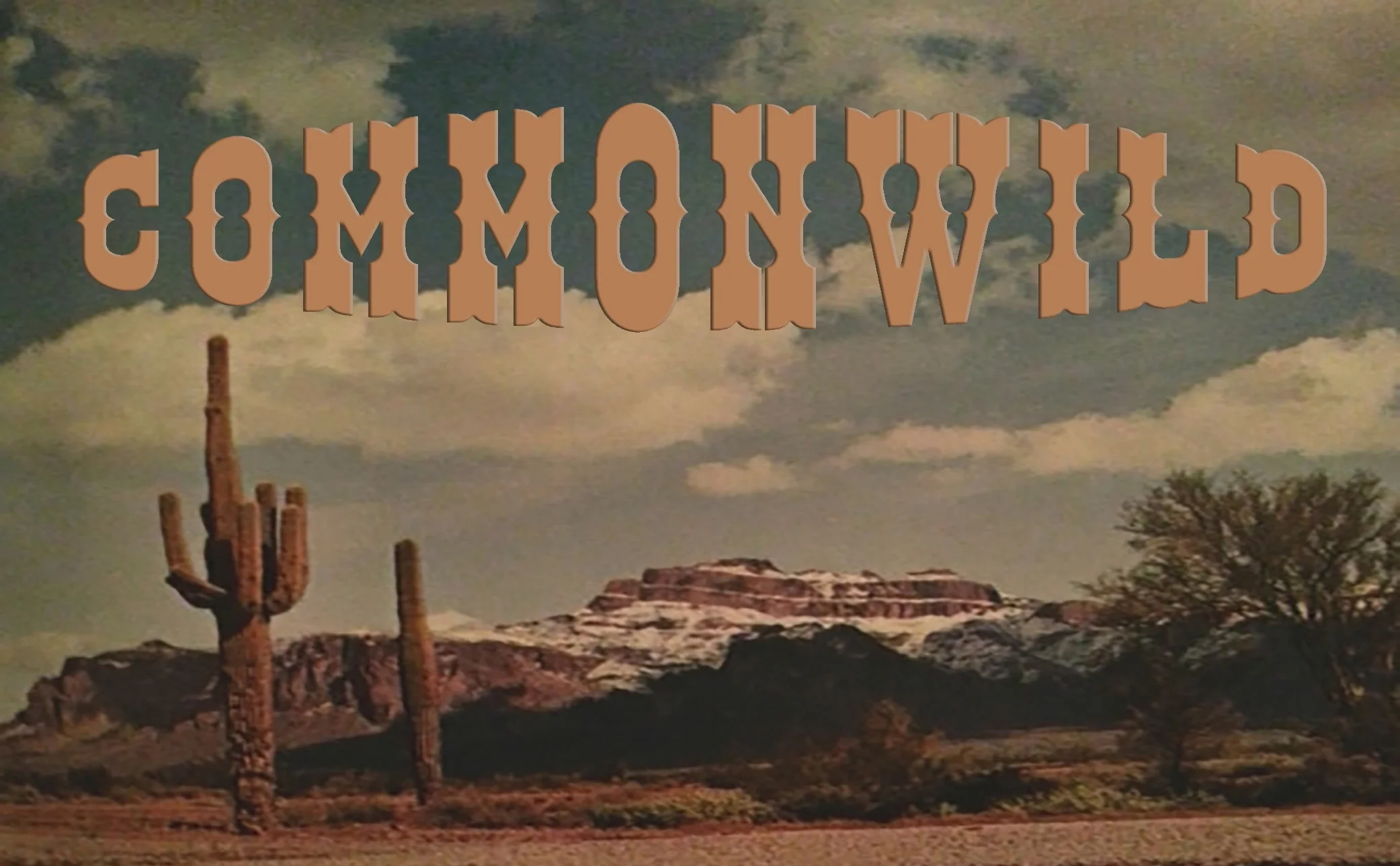 desert mountain piccrop.jpg