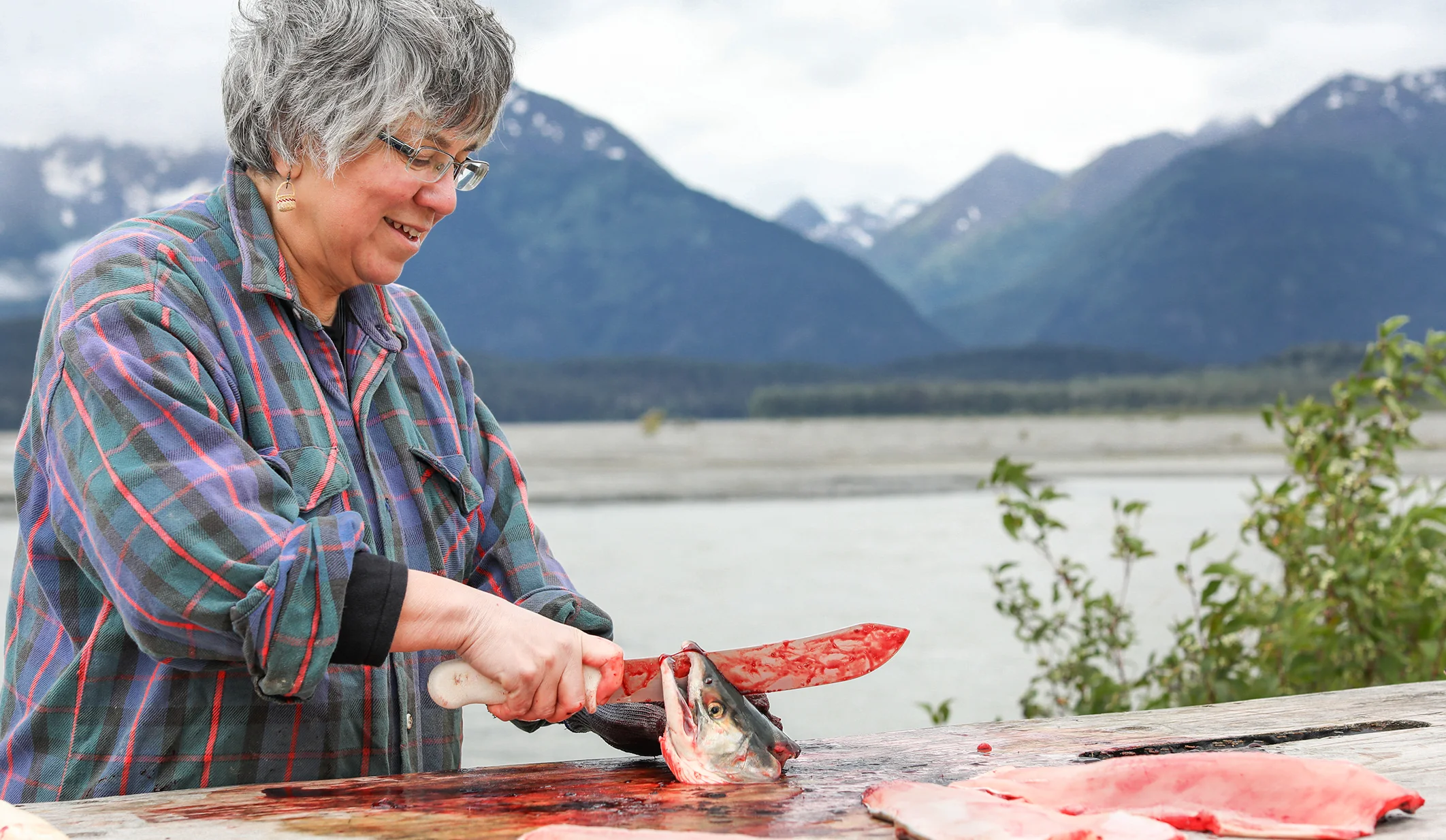 KIMBERLY STRONG, PRESIDENT OF THE CHILKAT INDIAN VILLAGE OF KLUKWAN CUTTING FISH AT THE CHILKAT RIVER, KLUKWAN, ALASKA