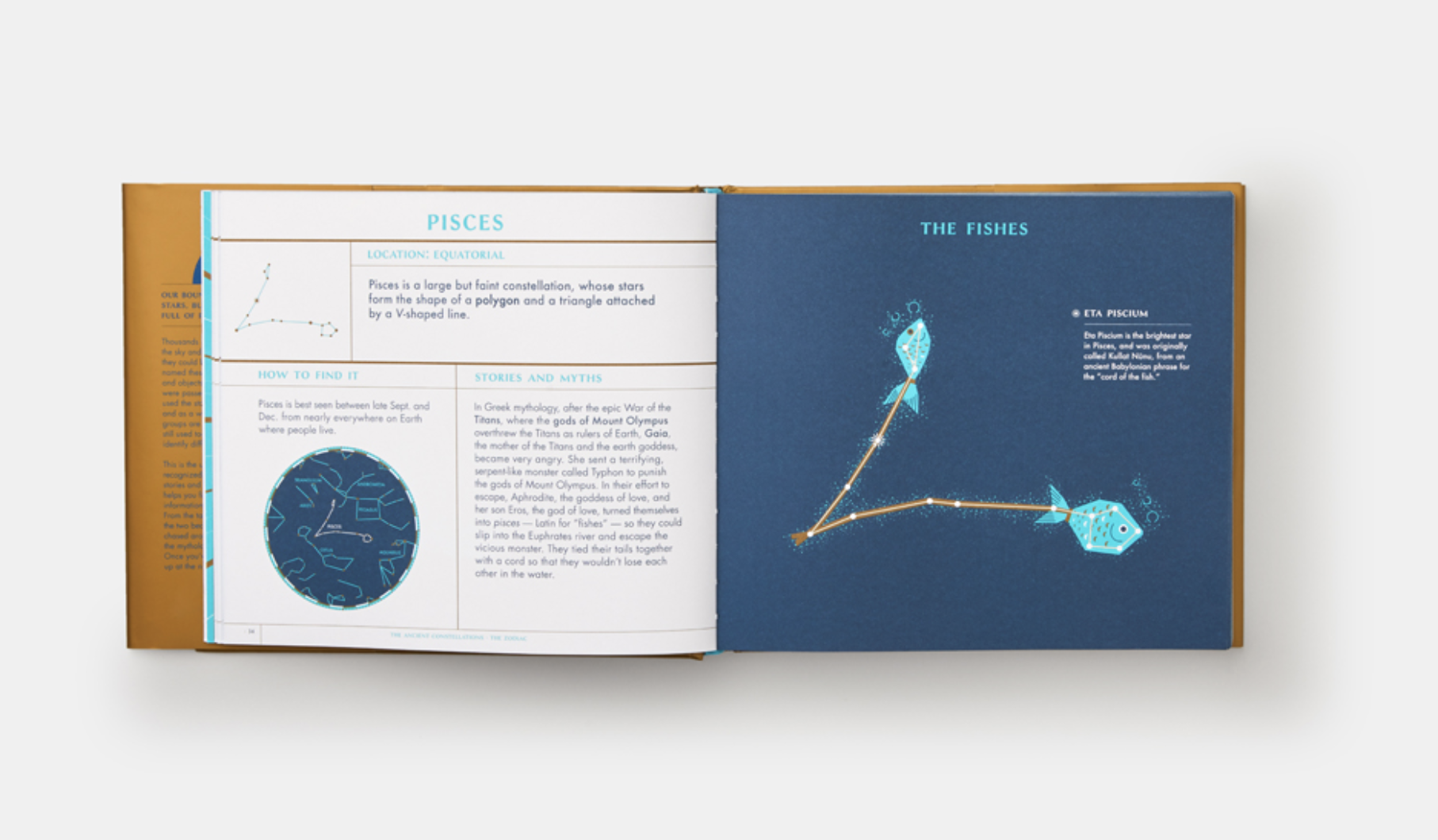 Photos by Phaidon .