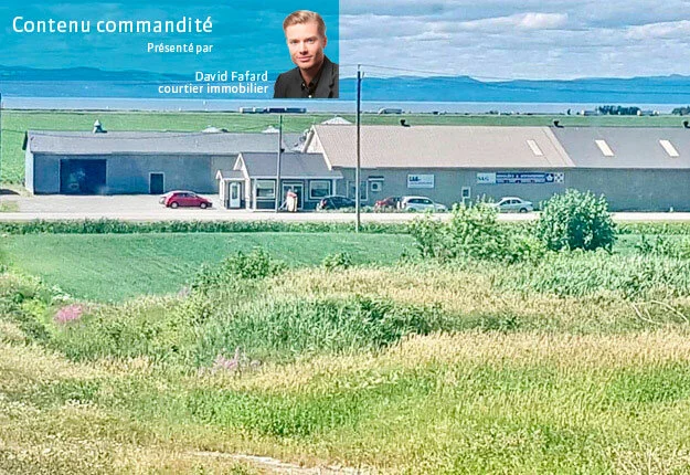 david_fafard_contenu.jpg