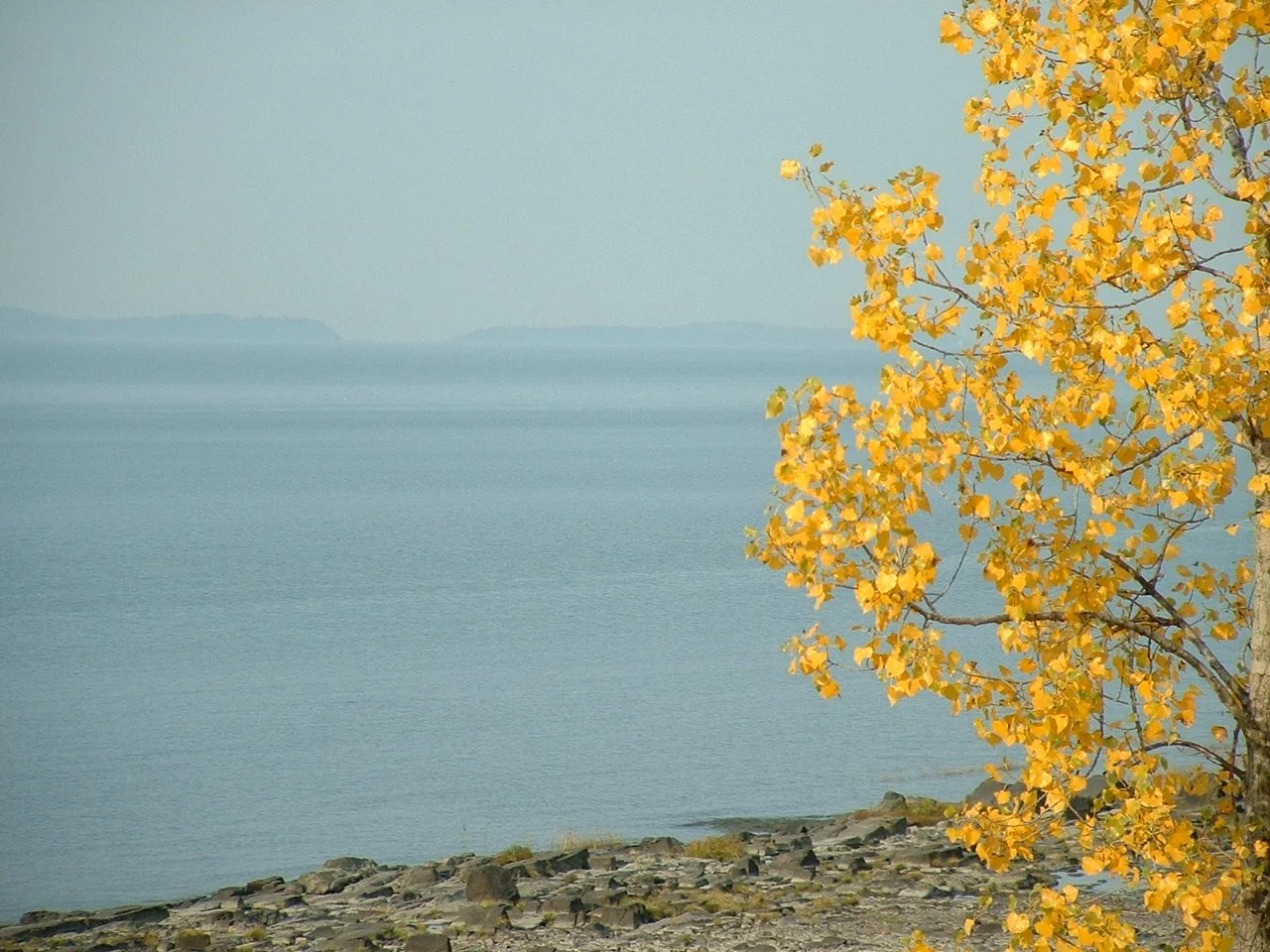 AUTOMNE LA PLAGE.JPG