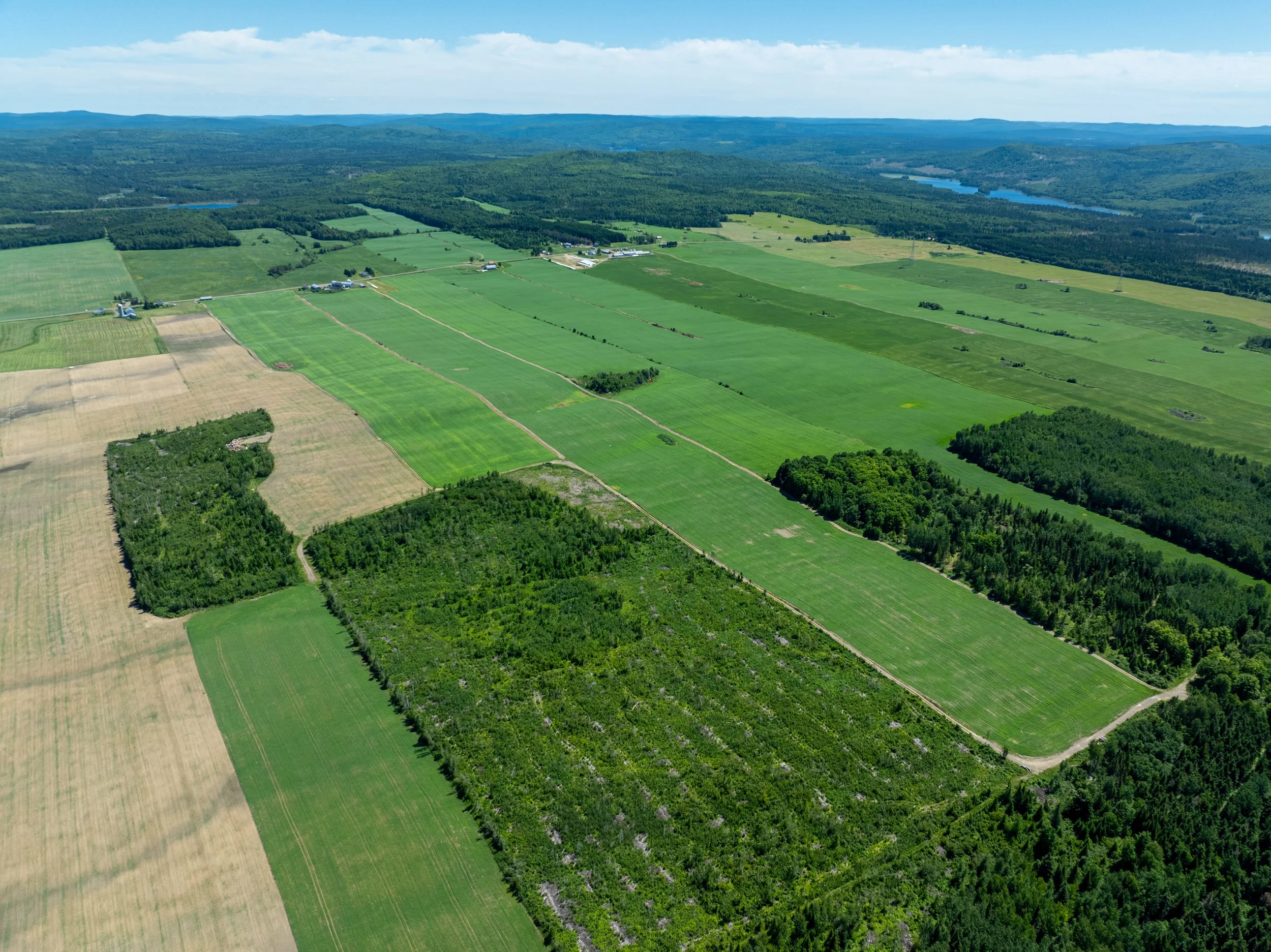 site-2-108.jpg
