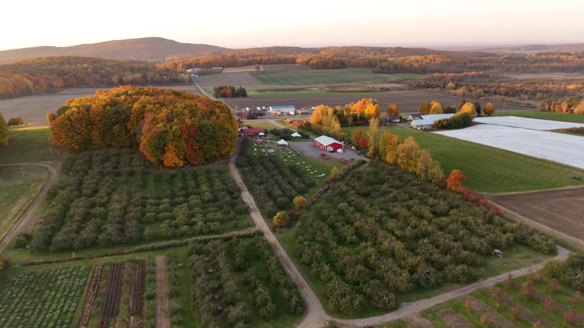 Snapshot Labonté de la pomme automne.JPG