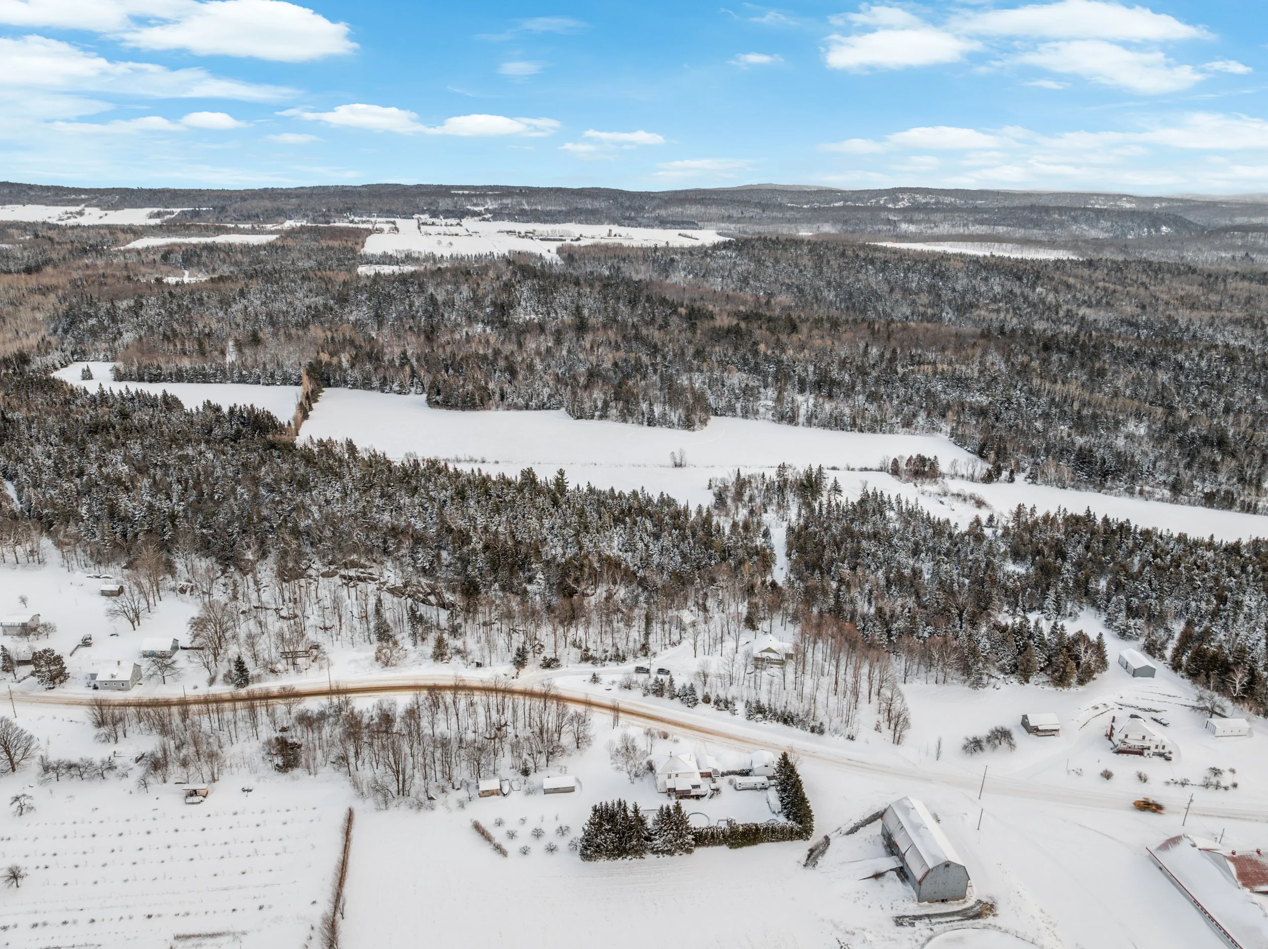 Domaine-30-acres-LaPocatiere-Bois-motoneige-potentiel-acericole-culture-David-Fafard-courtage-agricole (37).jpg