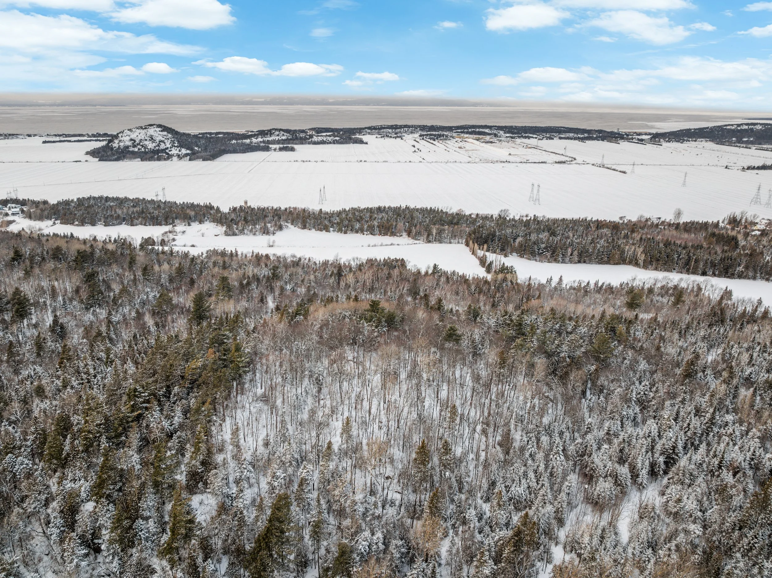 Domaine-30-acres-LaPocatiere-Bois-motoneige-potentiel-acericole-culture-David-Fafard-courtage-agricole (39).jpg