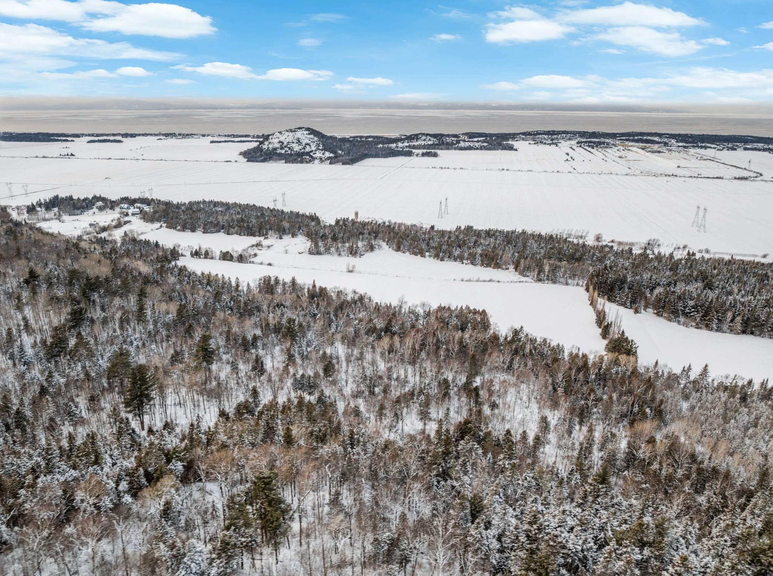 Domaine-30-acres-LaPocatiere-Bois-motoneige-potentiel-acericole-culture-David-Fafard-courtage-agricole (40).jpg