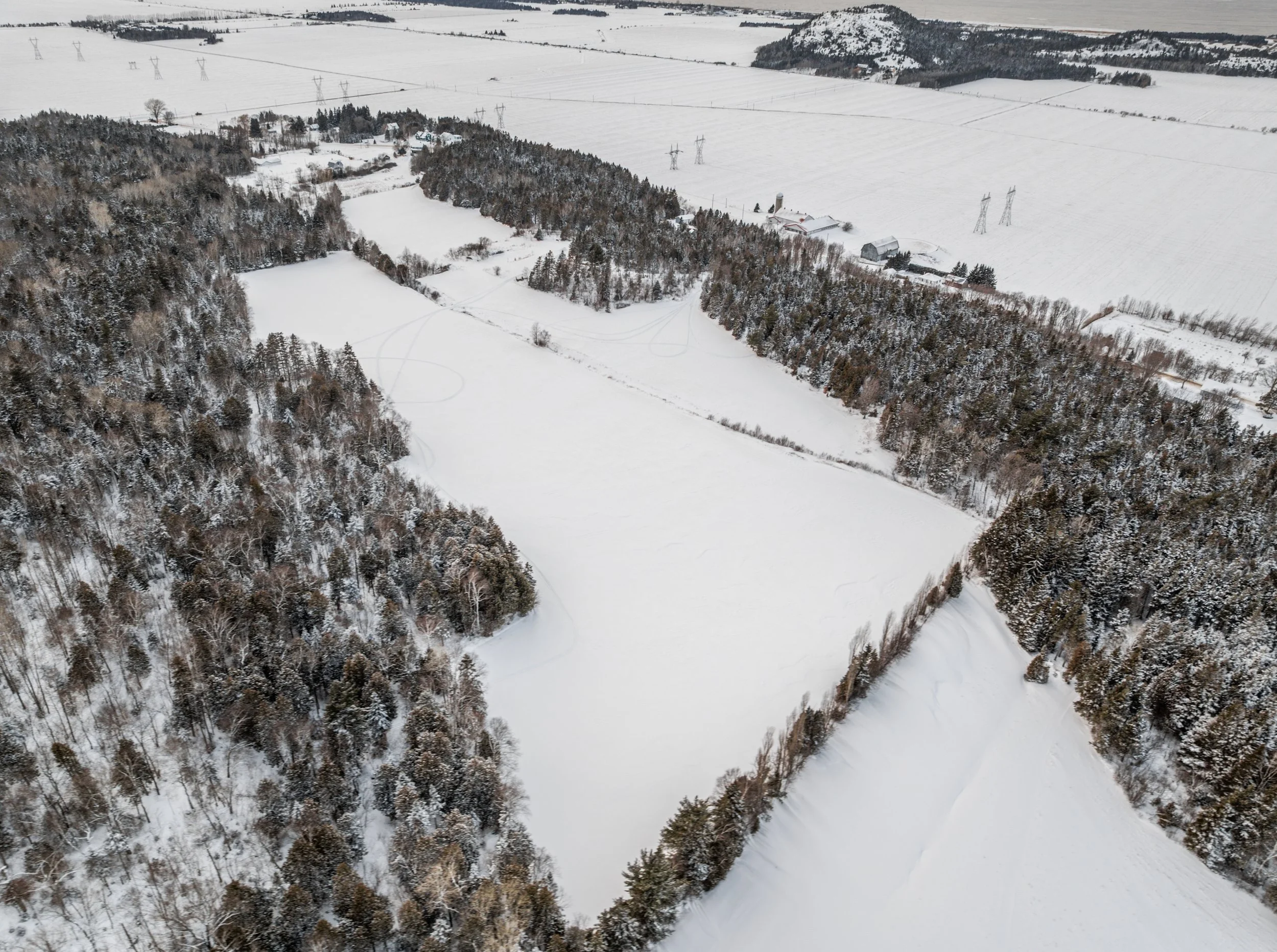 Domaine-30-acres-LaPocatiere-Bois-motoneige-potentiel-acericole-culture-David-Fafard-courtage-agricole (43).jpg