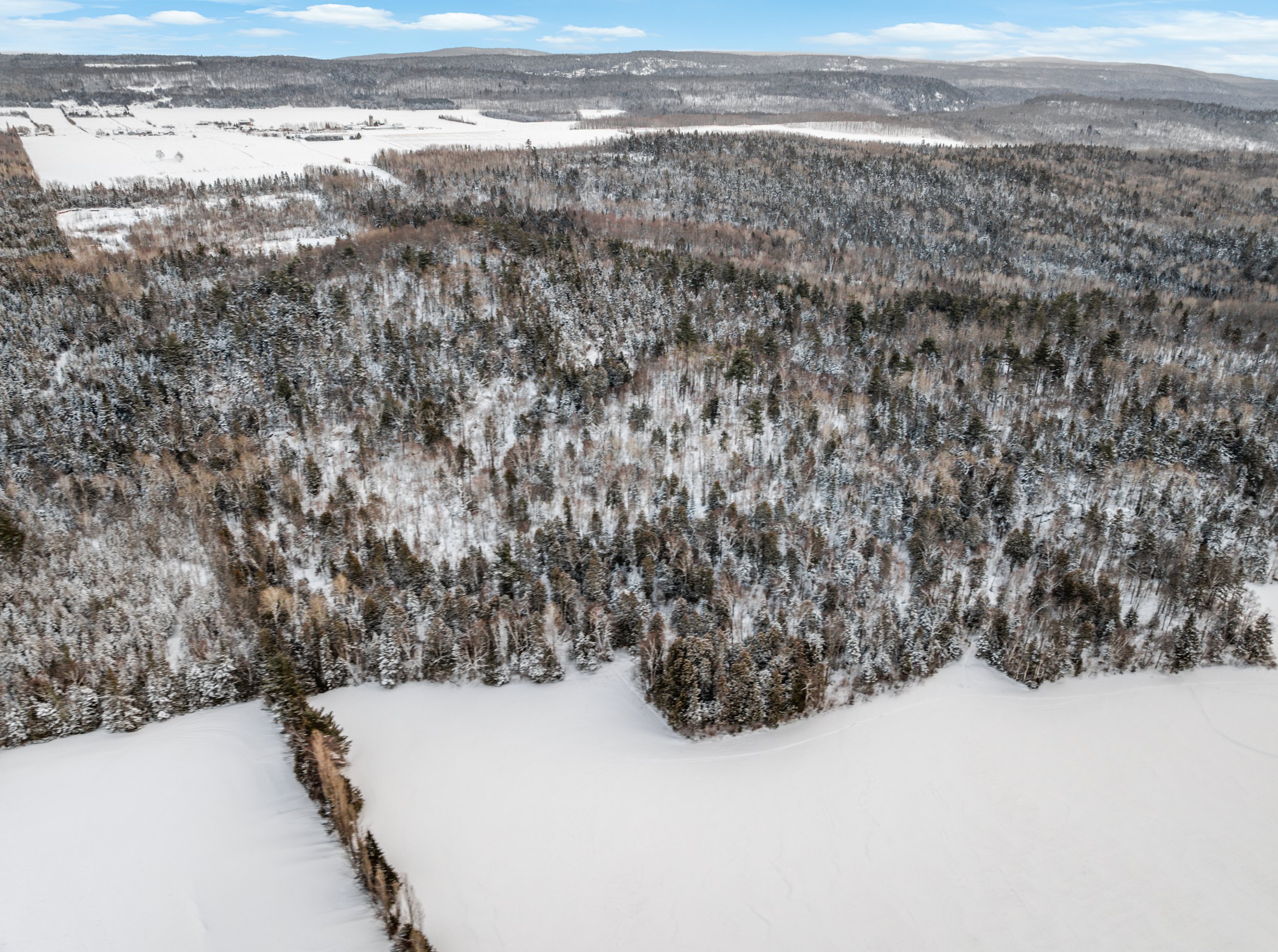 Domaine-30-acres-LaPocatiere-Bois-motoneige-potentiel-acericole-culture-David-Fafard-courtage-agricole (44).jpg