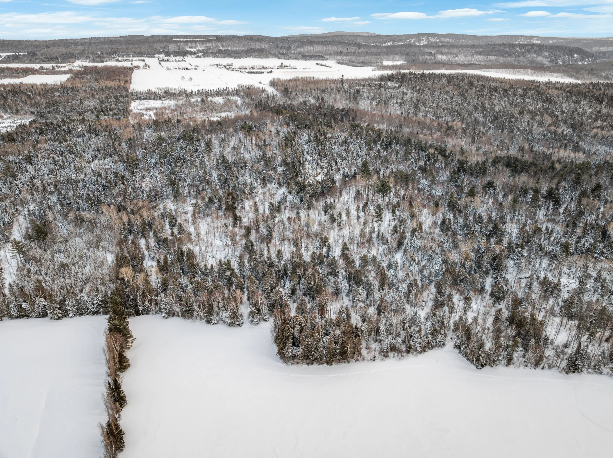 Domaine-30-acres-LaPocatiere-Bois-motoneige-potentiel-acericole-culture-David-Fafard-courtage-agricole (45).jpg