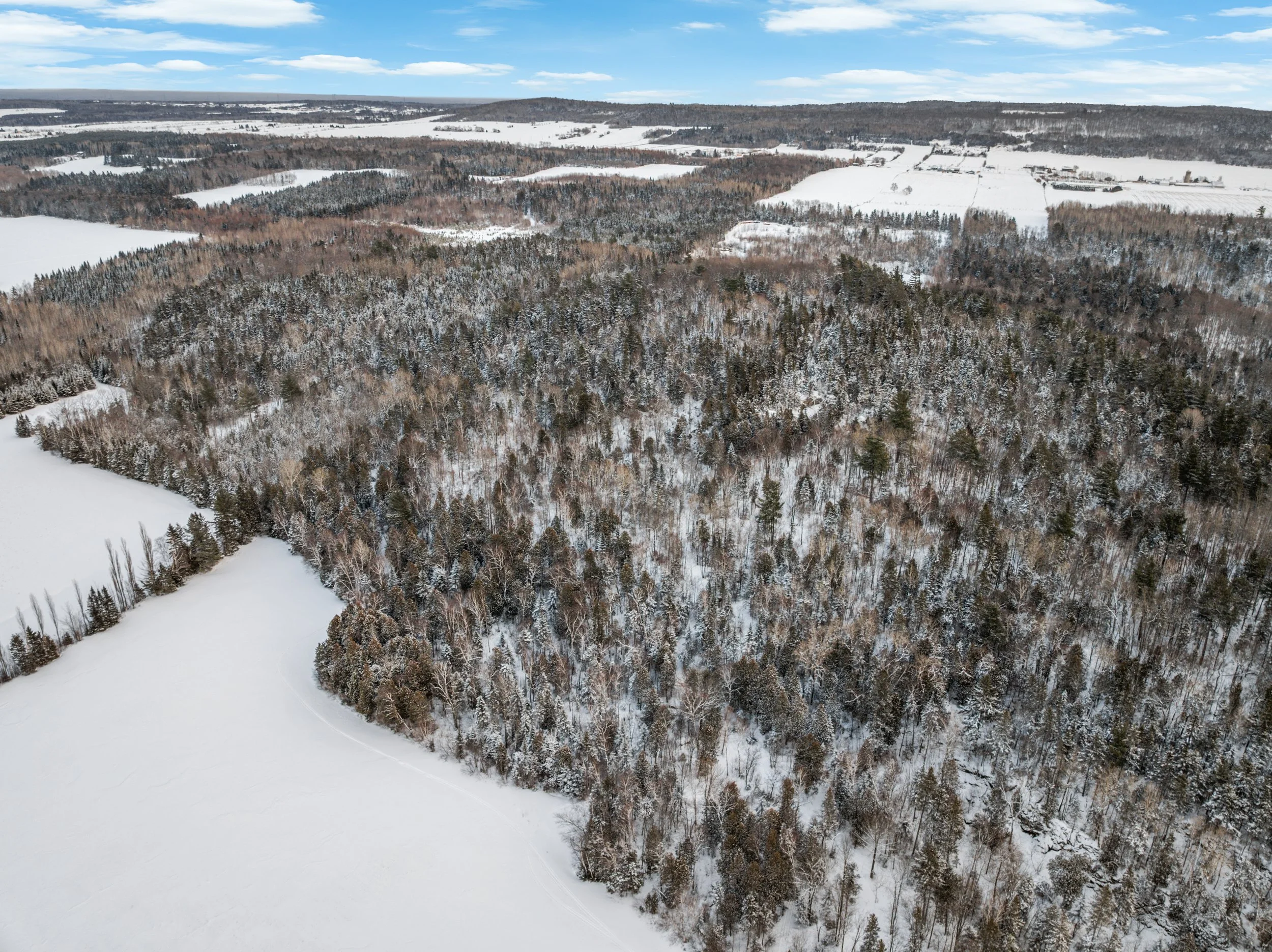 Domaine-30-acres-LaPocatiere-Bois-motoneige-potentiel-acericole-culture-David-Fafard-courtage-agricole (46).jpg