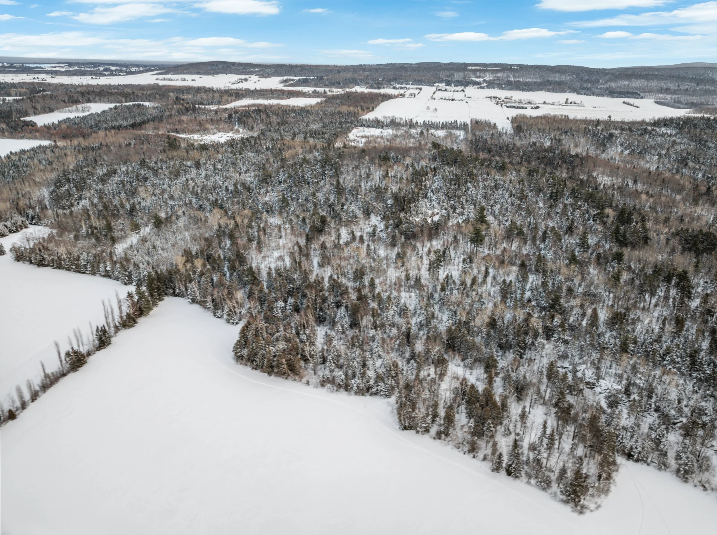 Domaine-30-acres-LaPocatiere-Bois-motoneige-potentiel-acericole-culture-David-Fafard-courtage-agricole (47).jpg