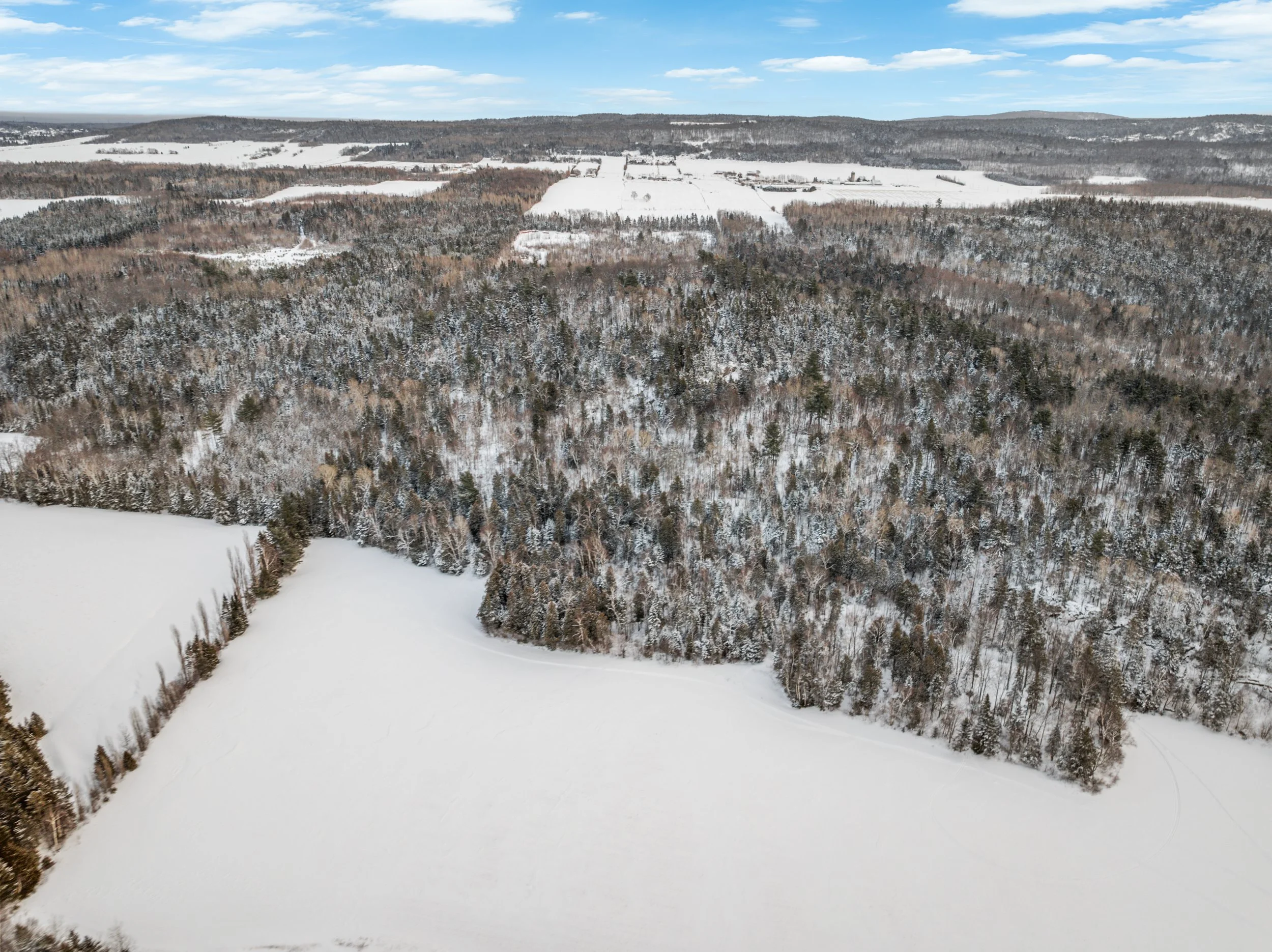 Domaine-30-acres-LaPocatiere-Bois-motoneige-potentiel-acericole-culture-David-Fafard-courtage-agricole (48).jpg