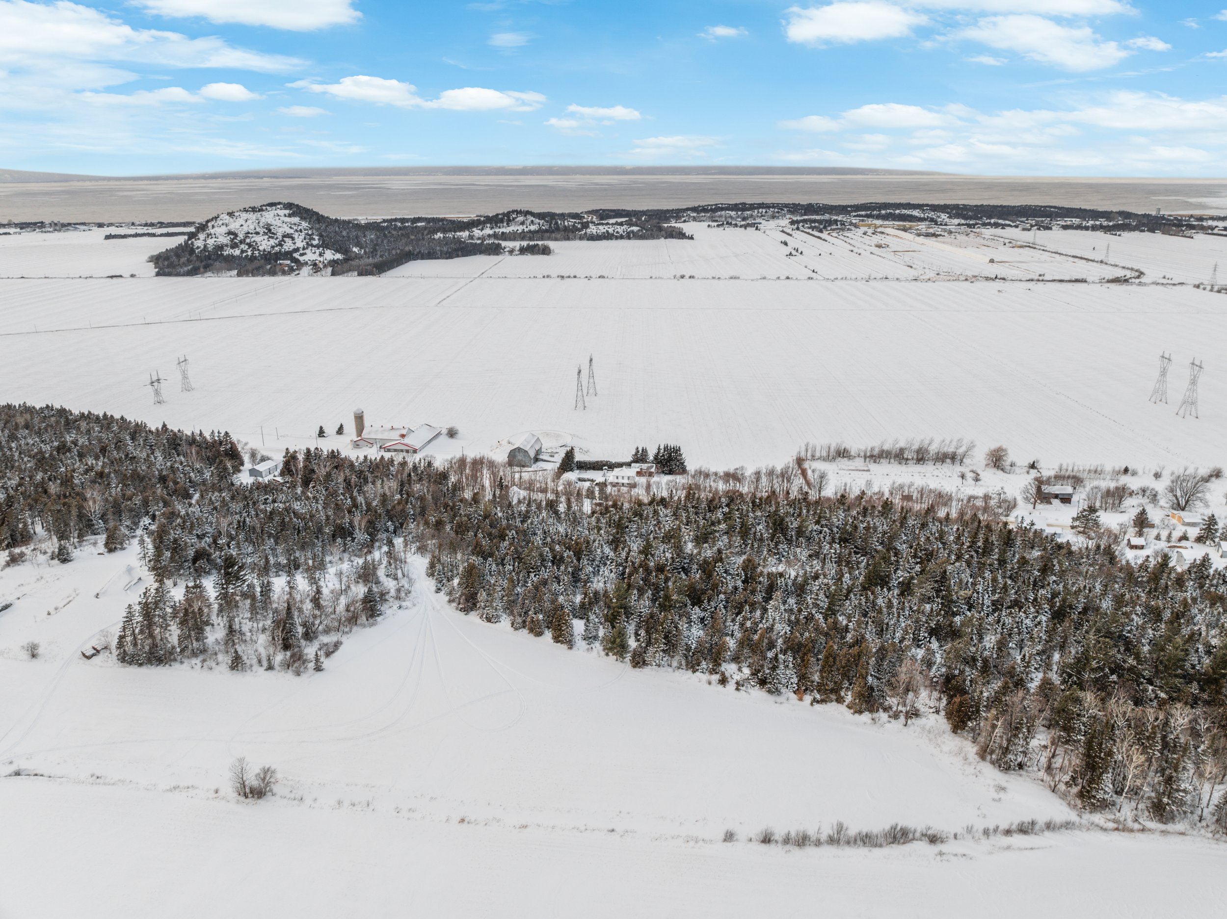 Domaine-30-acres-LaPocatiere-Bois-motoneige-potentiel-acericole-culture-David-Fafard-courtage-agricole (49).jpg