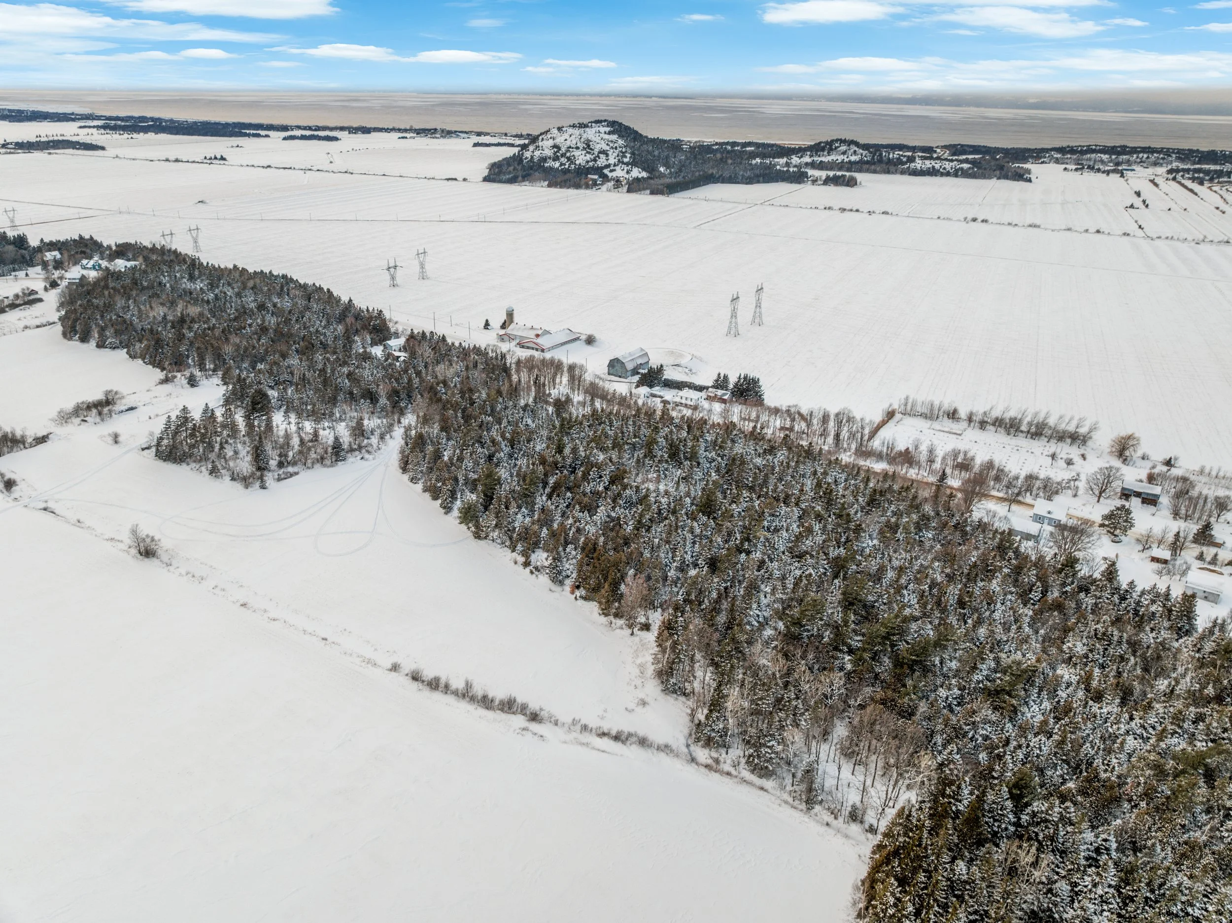 Domaine-30-acres-LaPocatiere-Bois-motoneige-potentiel-acericole-culture-David-Fafard-courtage-agricole (50).jpg