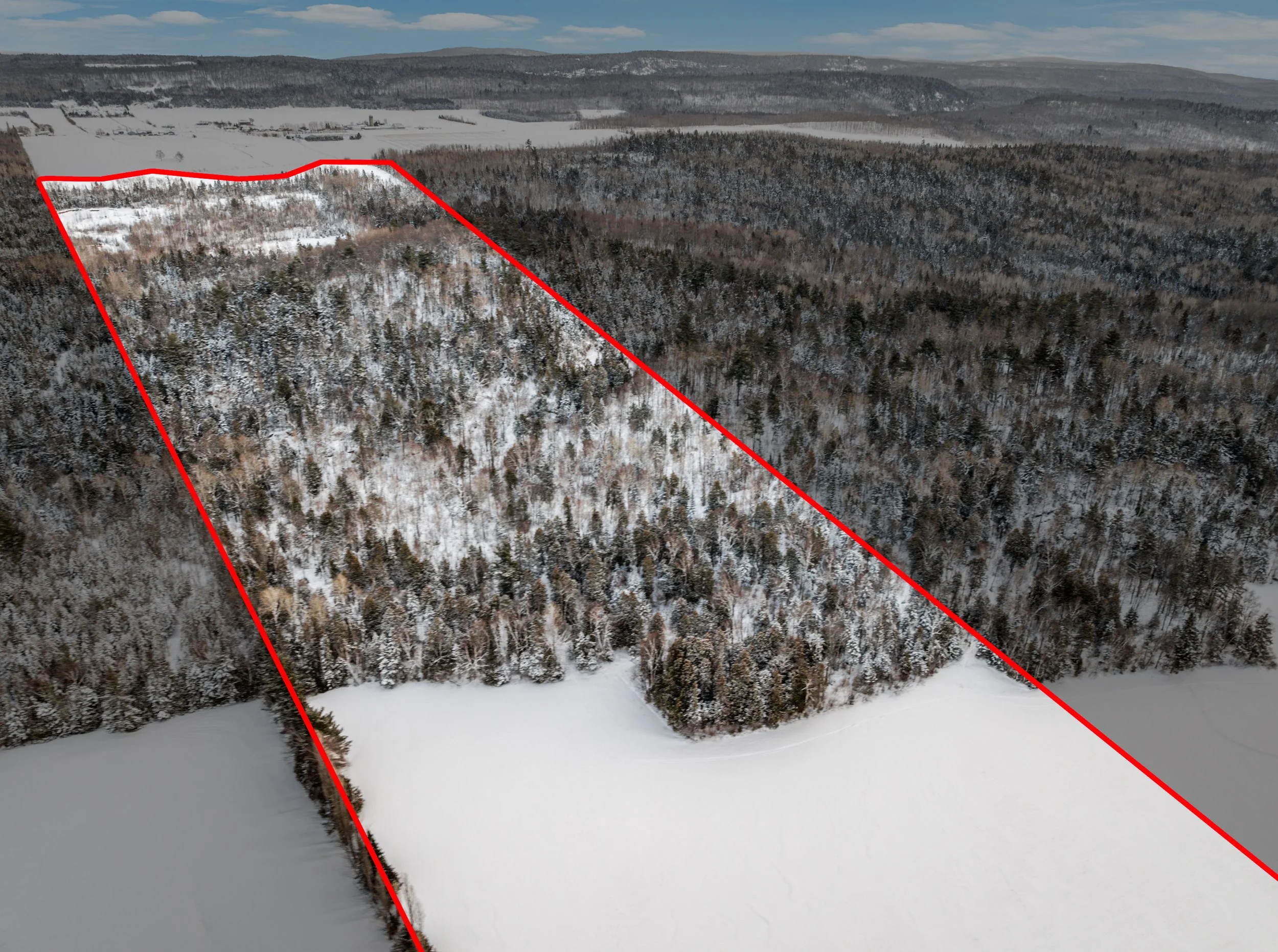 Domaine-30-acres-LaPocatiere-Bois-motoneige-potentiel-acericole-culture-David-Fafard-courtage-agricole-plan (1).jpeg