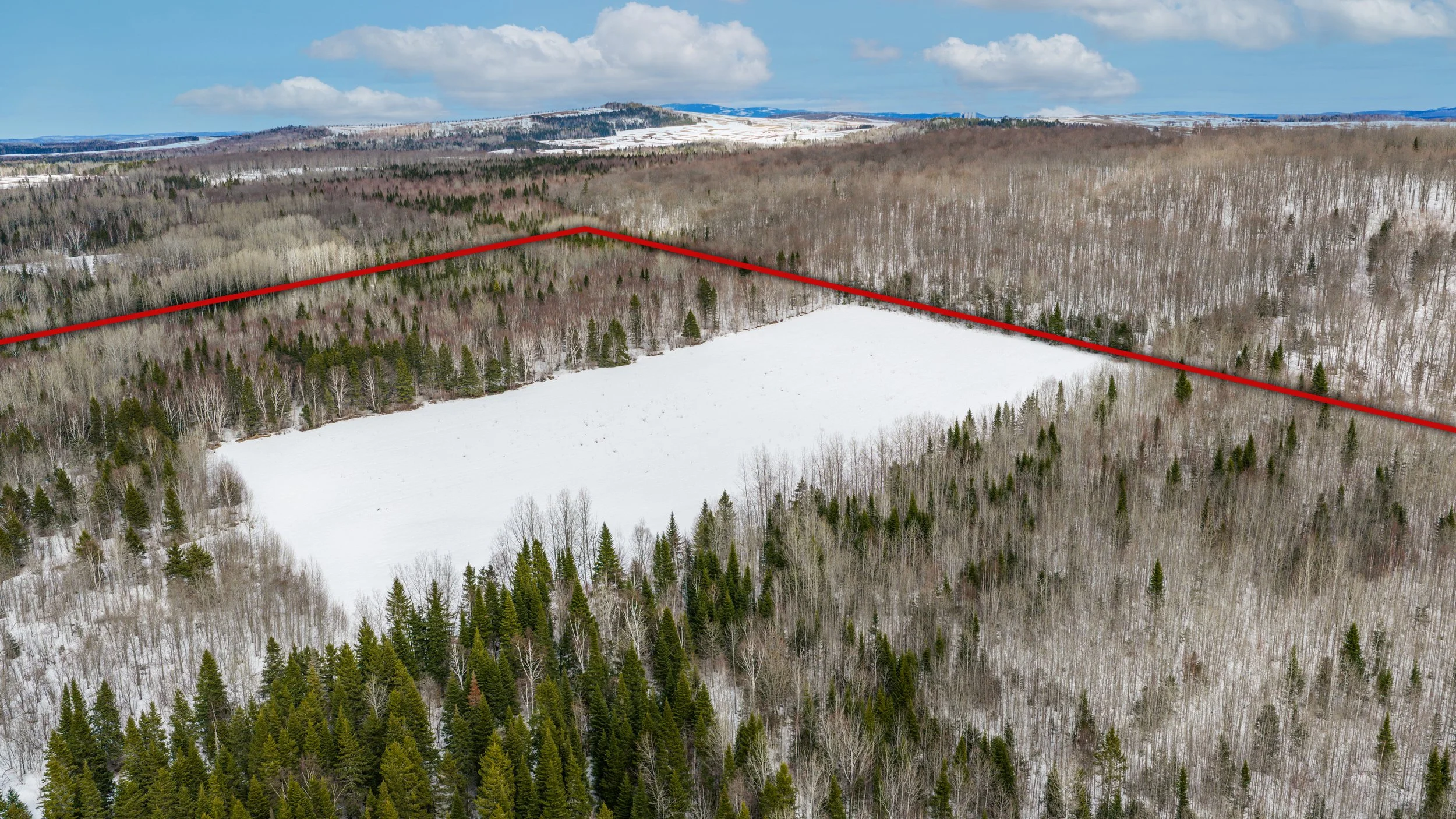 ferme-de-300-acres-a-vendre-au-227-rang-masse-ouest-saint-gabriel-de-rimouski-david-fafard-courtier-agricole (8).jpg