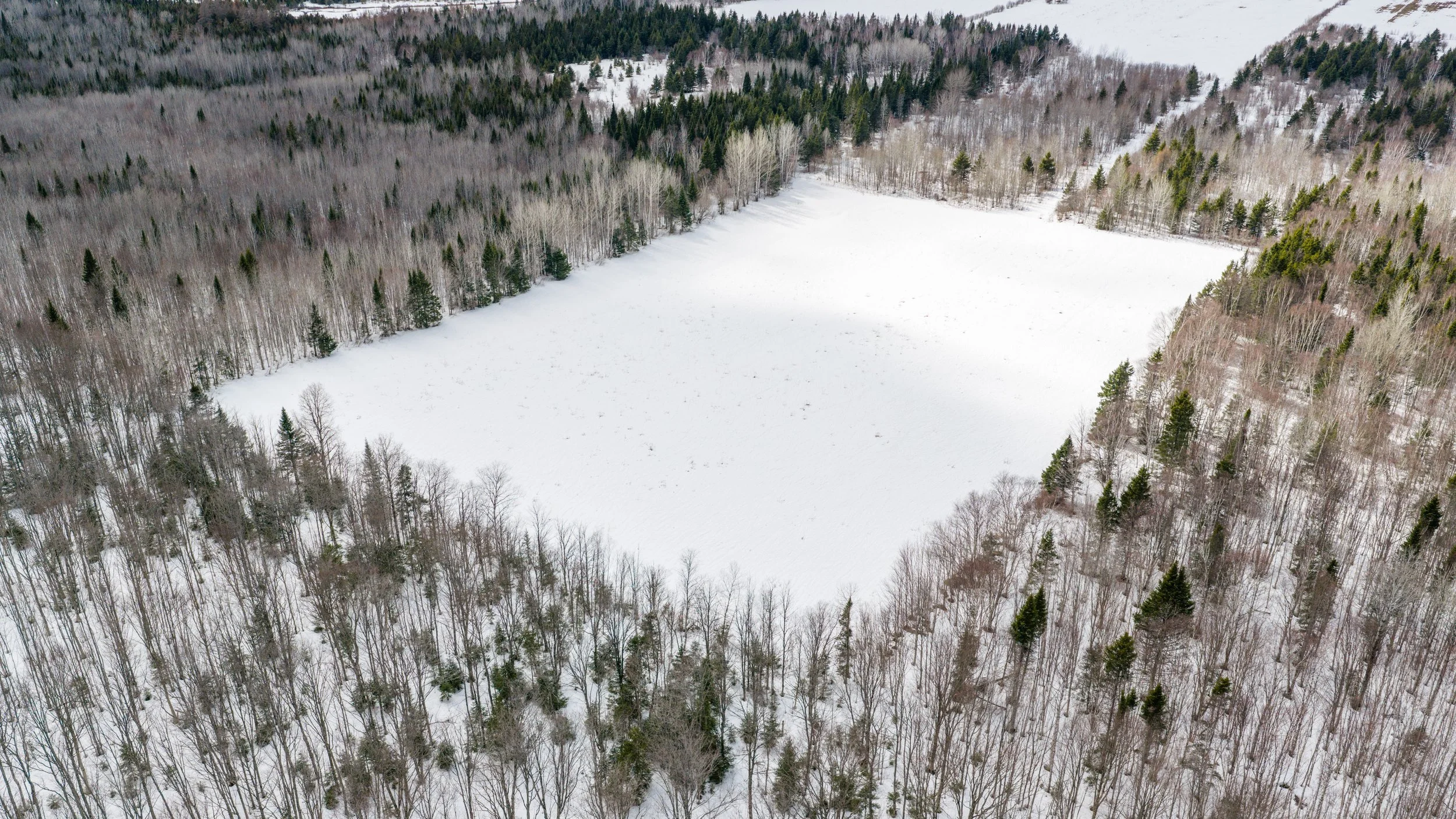 ferme-de-300-acres-a-vendre-au-227-rang-masse-ouest-saint-gabriel-de-rimouski-david-fafard-courtier-agricole (9).jpg