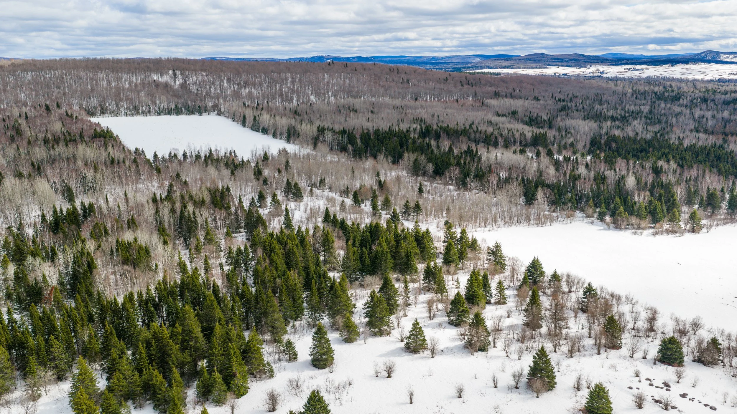 ferme-de-300-acres-a-vendre-au-227-rang-masse-ouest-saint-gabriel-de-rimouski-david-fafard-courtier-agricole (14).jpg