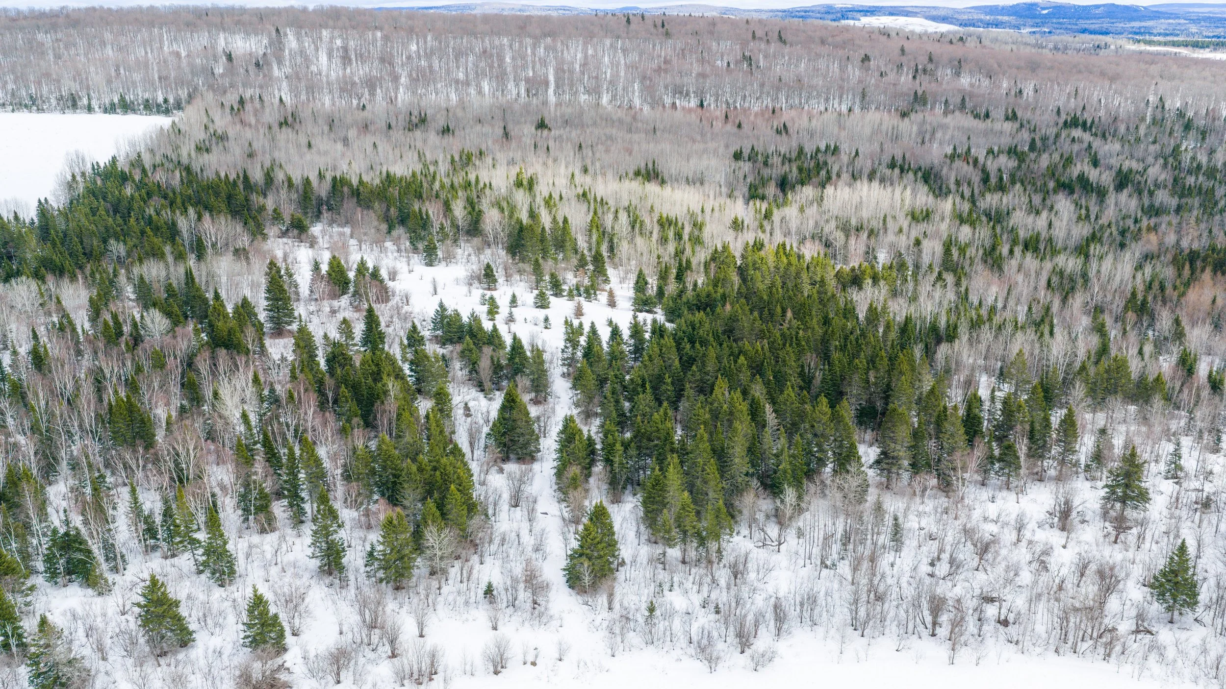 ferme-de-300-acres-a-vendre-au-227-rang-masse-ouest-saint-gabriel-de-rimouski-david-fafard-courtier-agricole (24).jpg