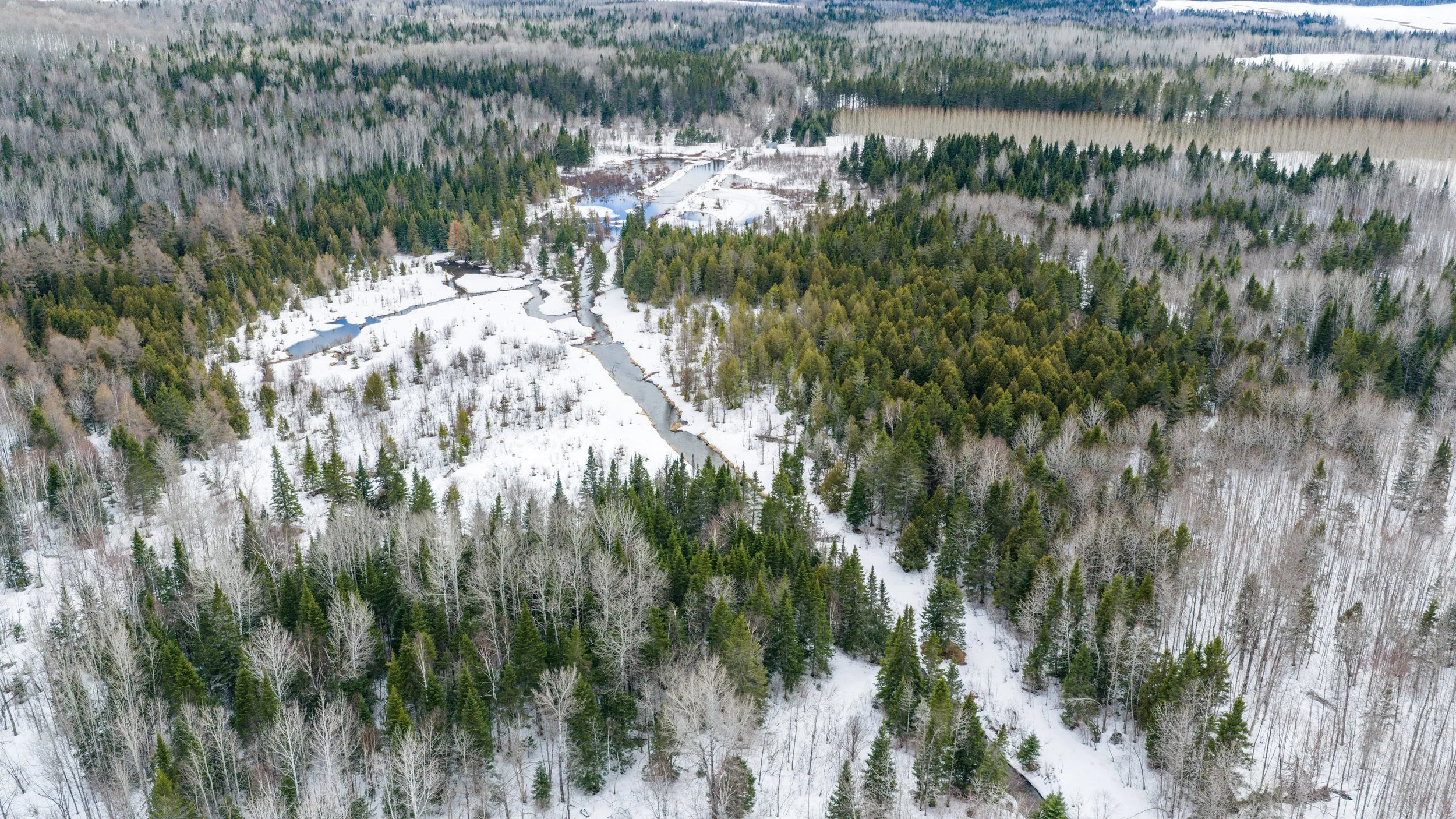ferme-de-300-acres-a-vendre-au-227-rang-masse-ouest-saint-gabriel-de-rimouski-david-fafard-courtier-agricole (25).jpg