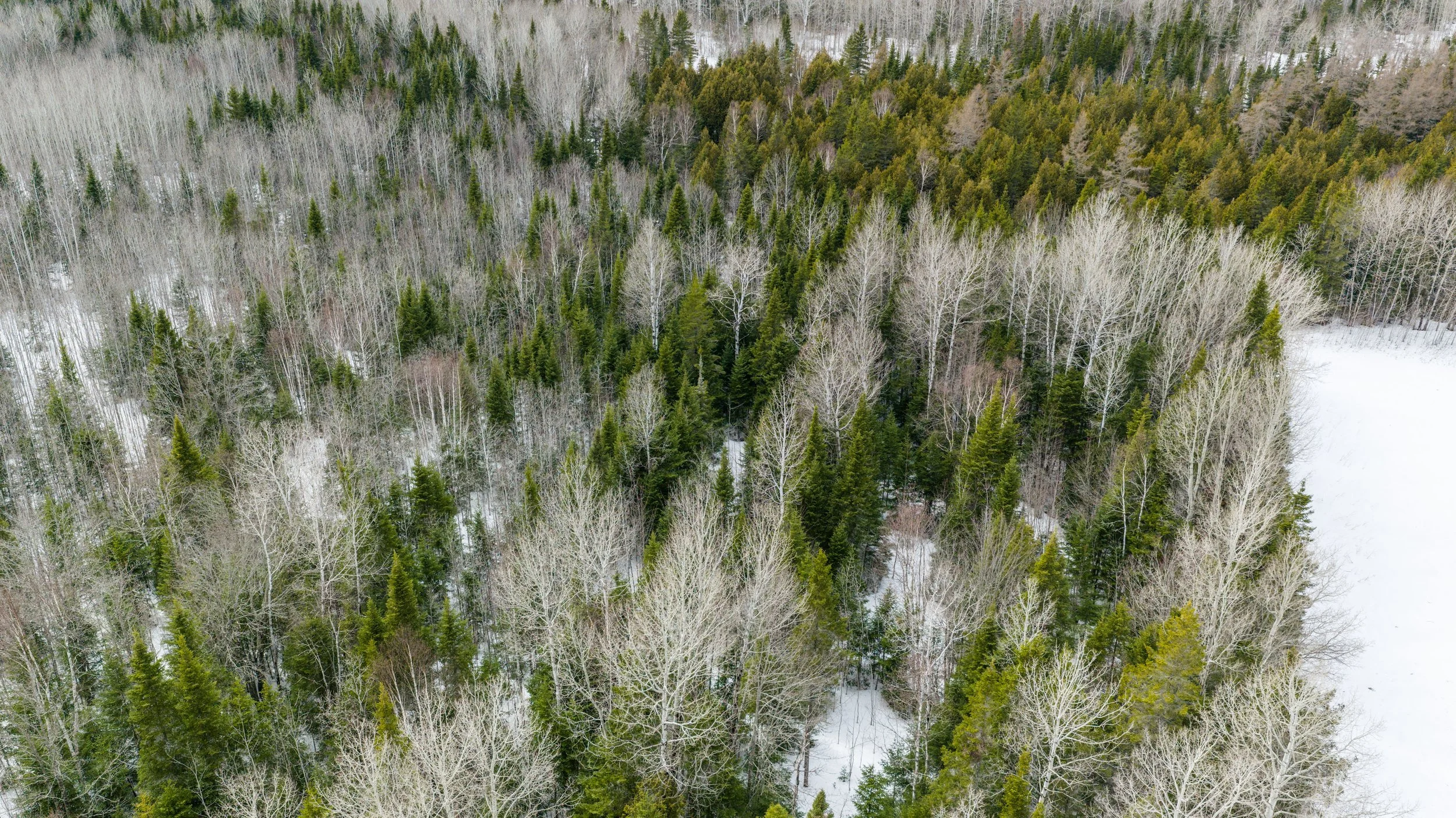 ferme-de-300-acres-a-vendre-au-227-rang-masse-ouest-saint-gabriel-de-rimouski-david-fafard-courtier-agricole (27).jpg