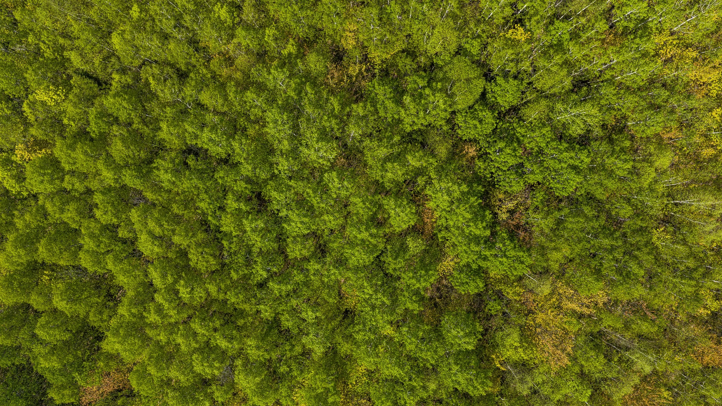 165-Drone-9.jpg